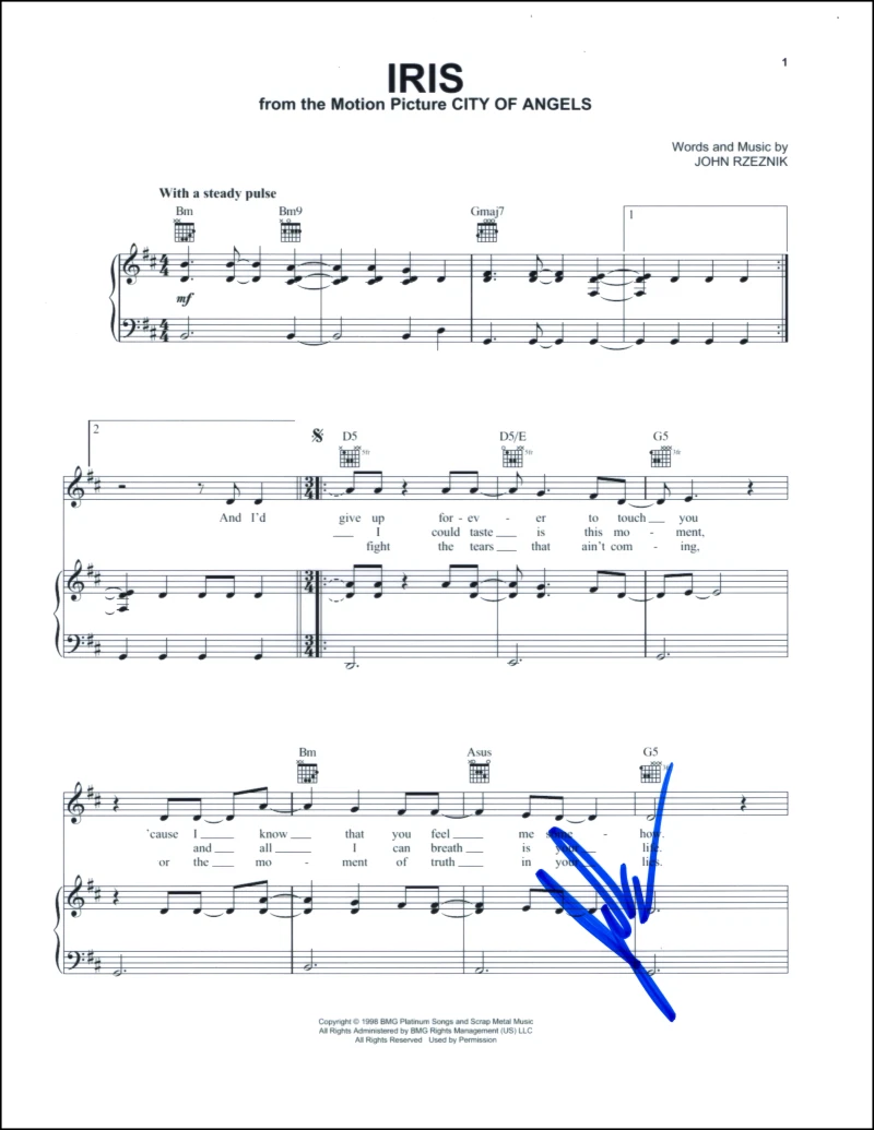 John Rzeznik Goo Goo Dolls Signed Autograph Iris Sheet Music - City of Angels