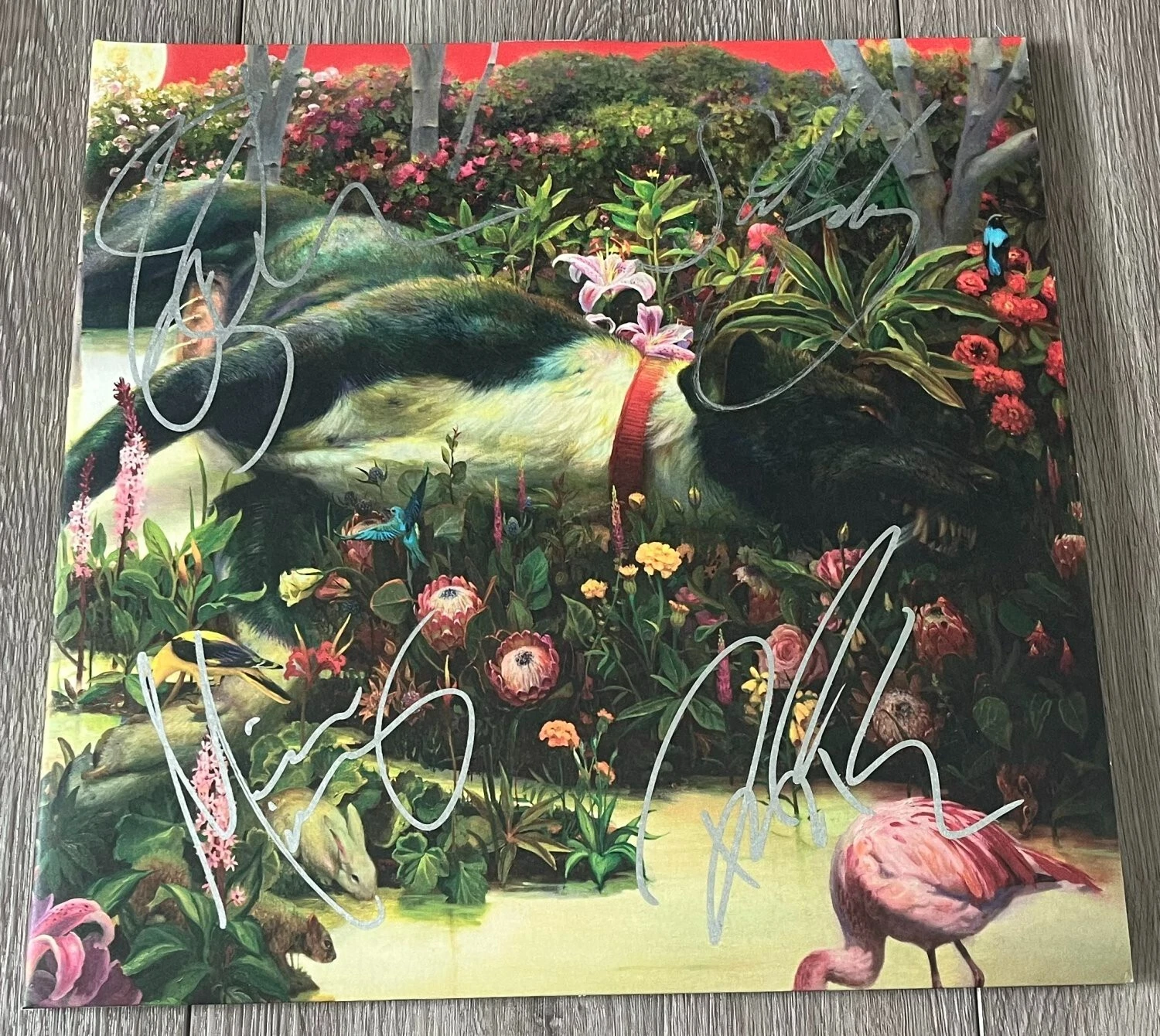 RIVAL SONS SIGNED AUTOGRAPH FERAL ROOTS VINYL ALBUM JAY BUCHANAN +3 wEXACT PROOF