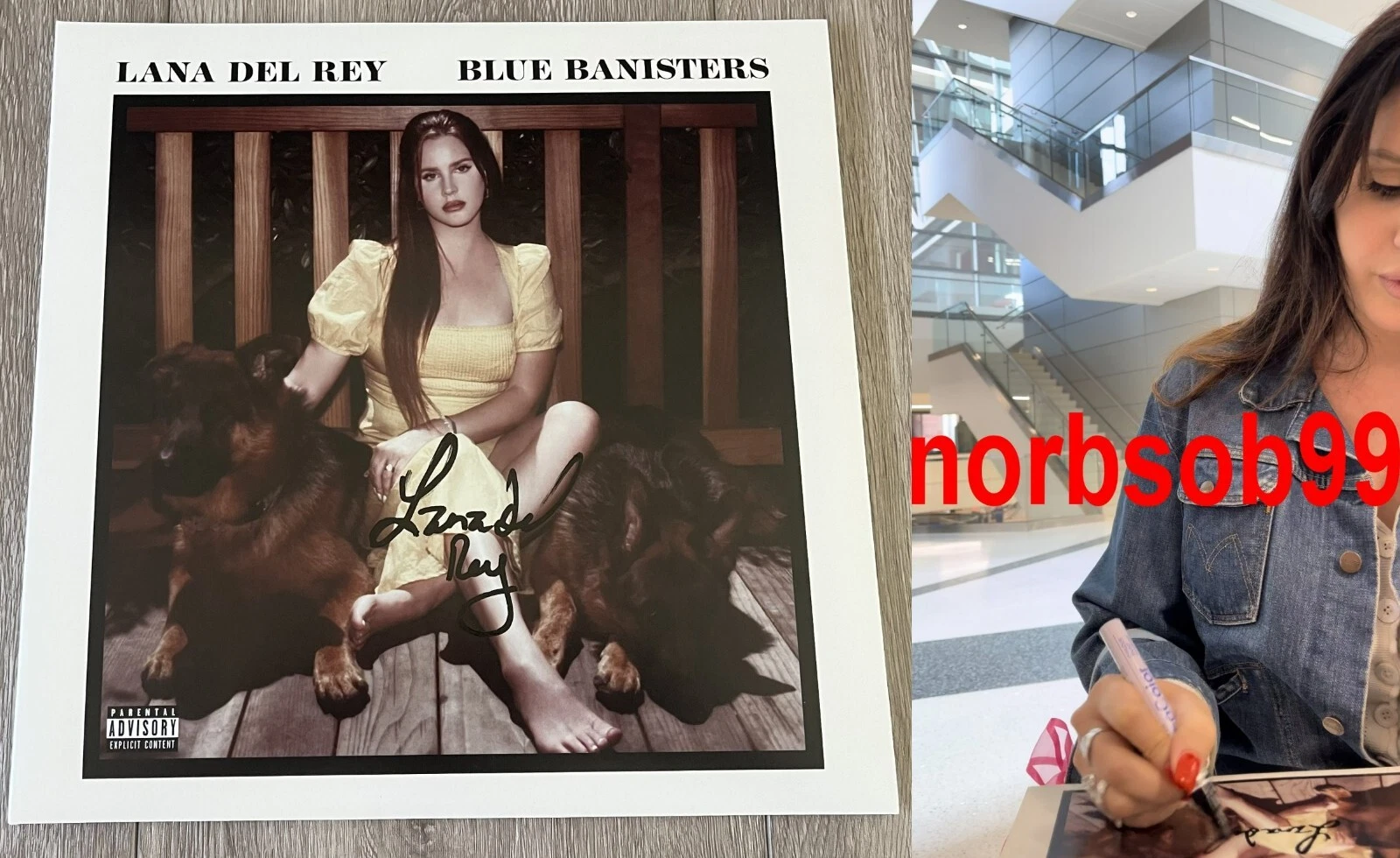 LANA DEL REY SIGNED BLUE BANISTERS VINYL LP w/EXACT VIDEO PROOF & BECKETT COA