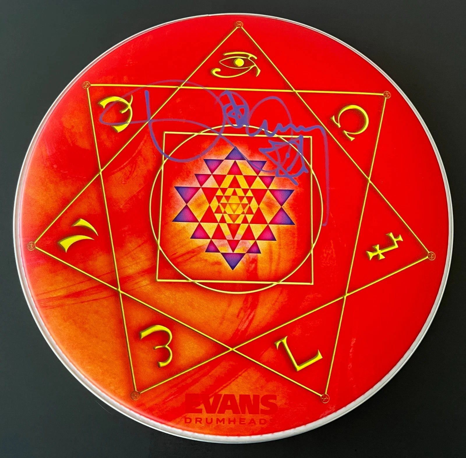 DANNY CAREY TOOL SIGNED AUTOGRAPH TOM TOM HEAD 14