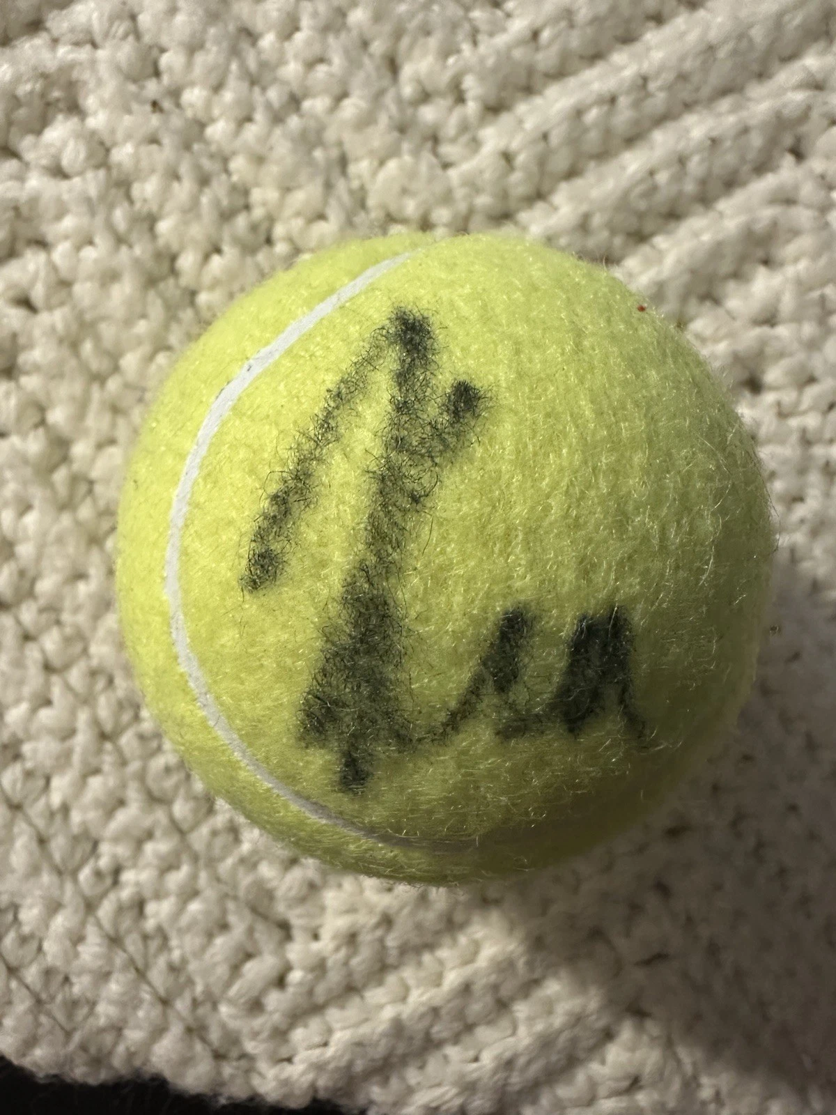 Karolina Muchova Signed Tennis Ball Autographed WTA
