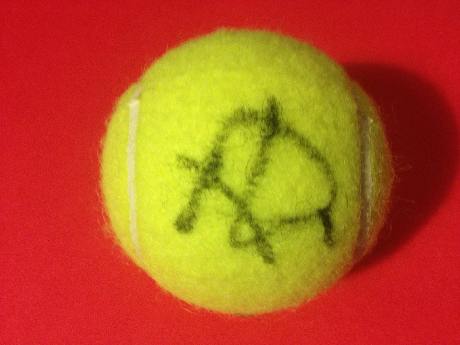 Roberta Vinci Wilson Tennis Ball Signed Auto