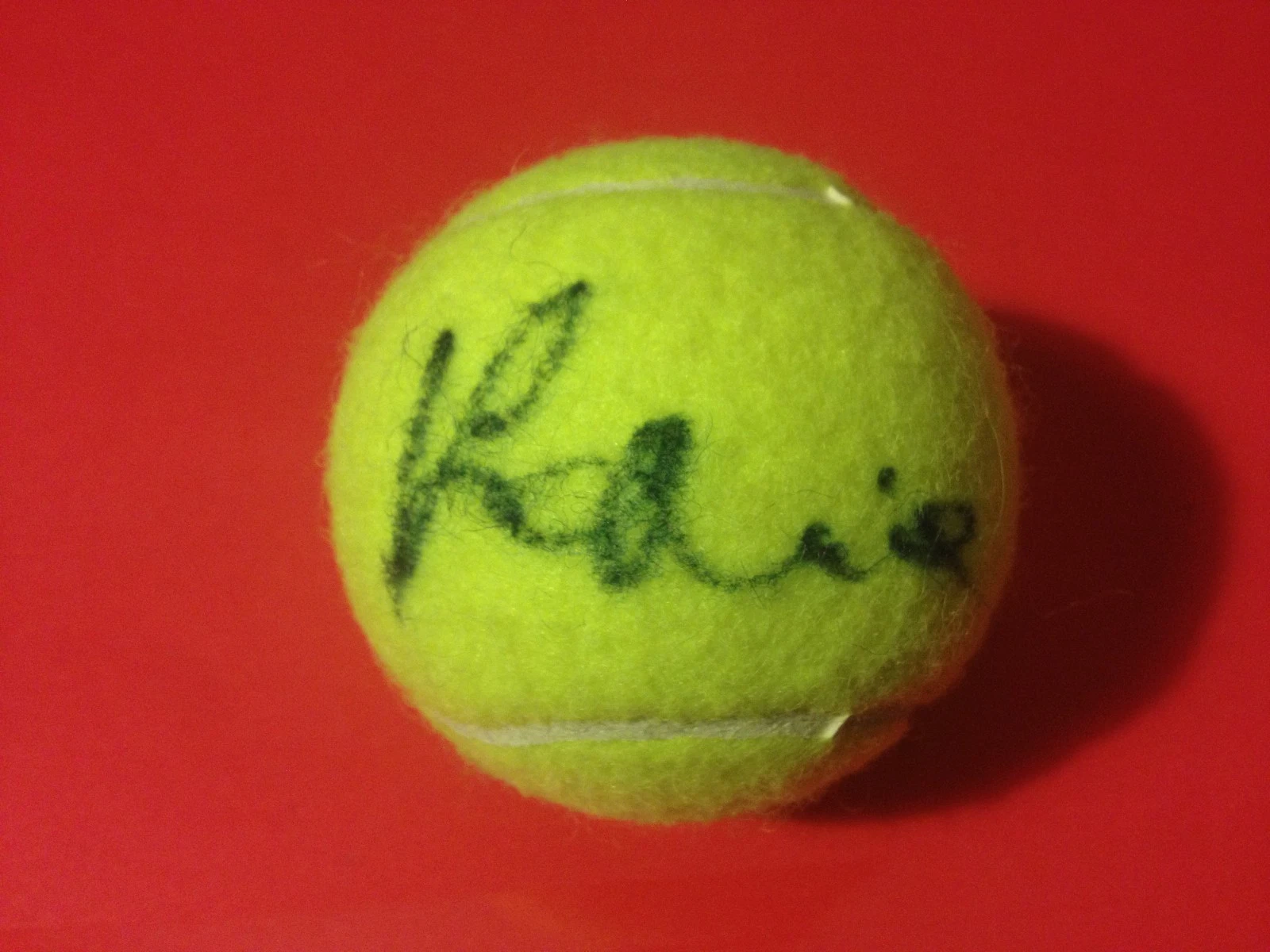 Paula Kania Wilson Tennis Ball Signed Auto