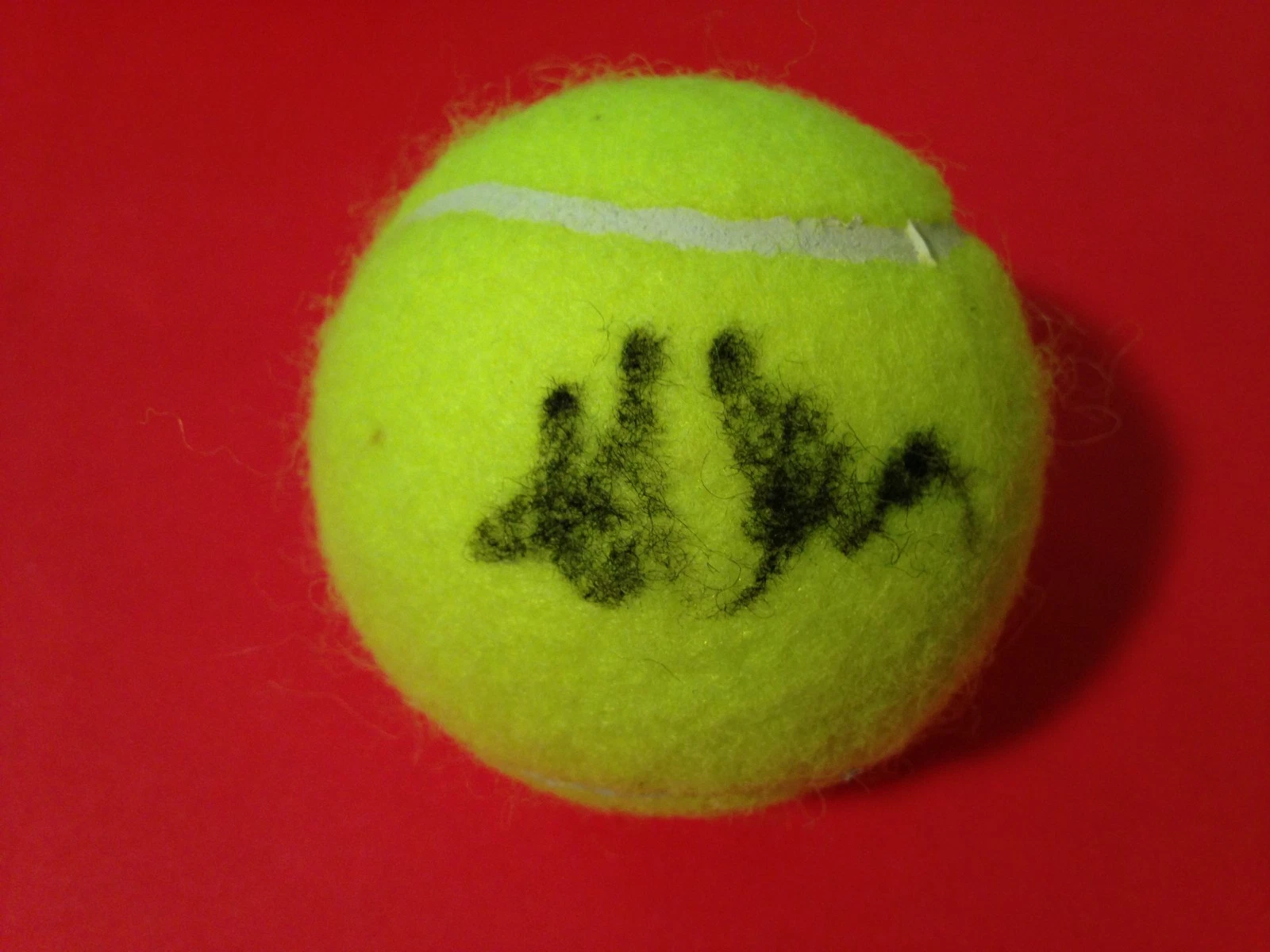 TOMMY HAAS WILSON TENNIS BALL SIGNED AUTO COLLECTIBLE MEMORABILIA