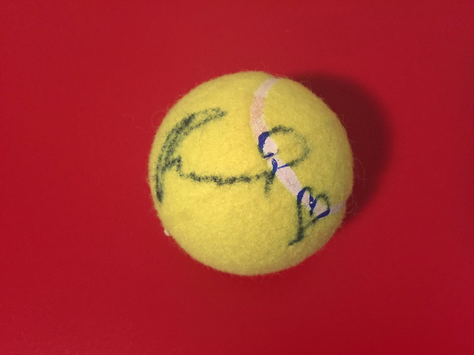 ANASTASIA PIVOVAROVA WILSON TENNIS BALL SIGNED AUTO COLLECTIBLE MEMORABILIA