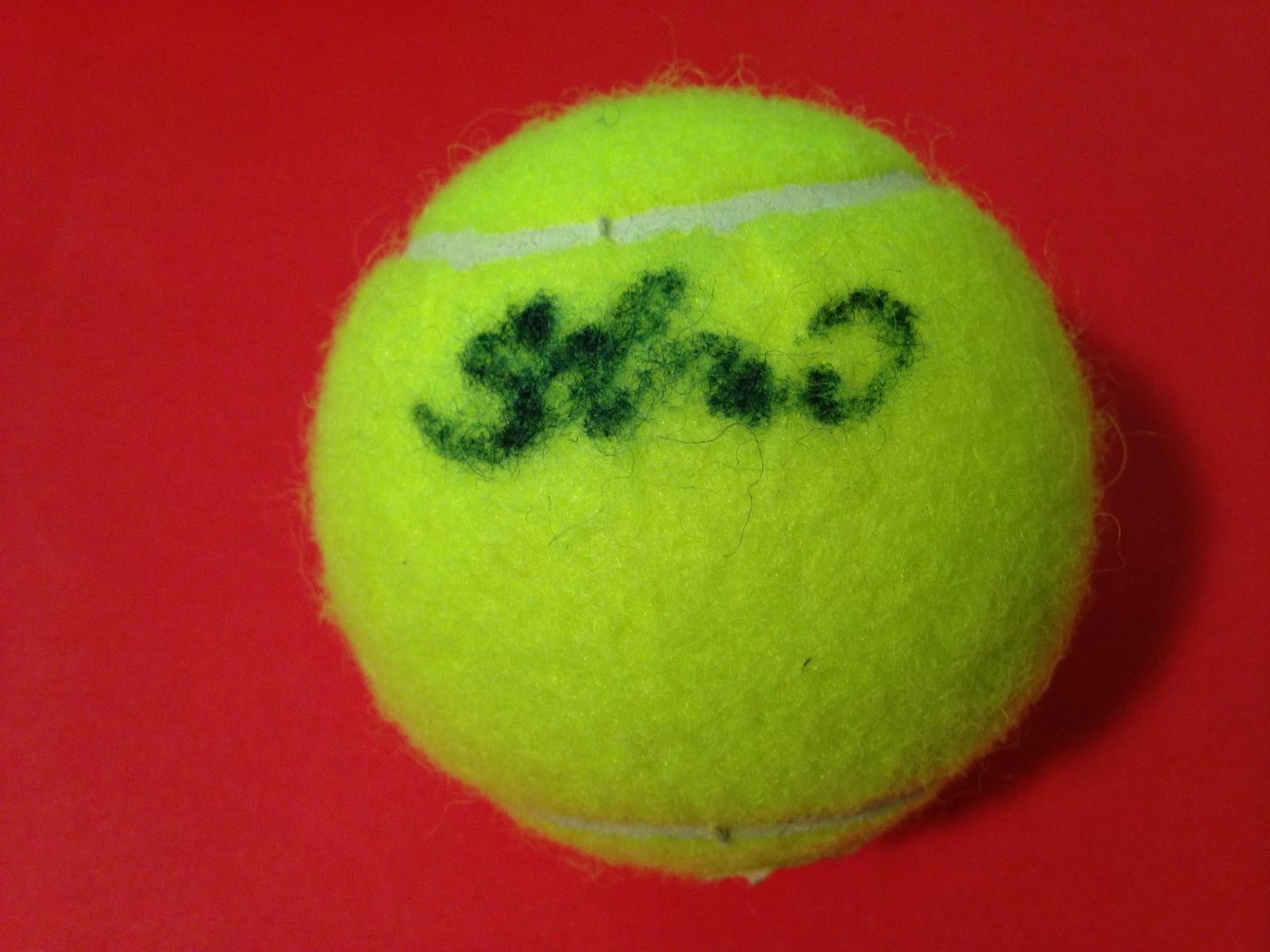 Anna Schmiedlova Wilson Tennis Ball Signed Auto