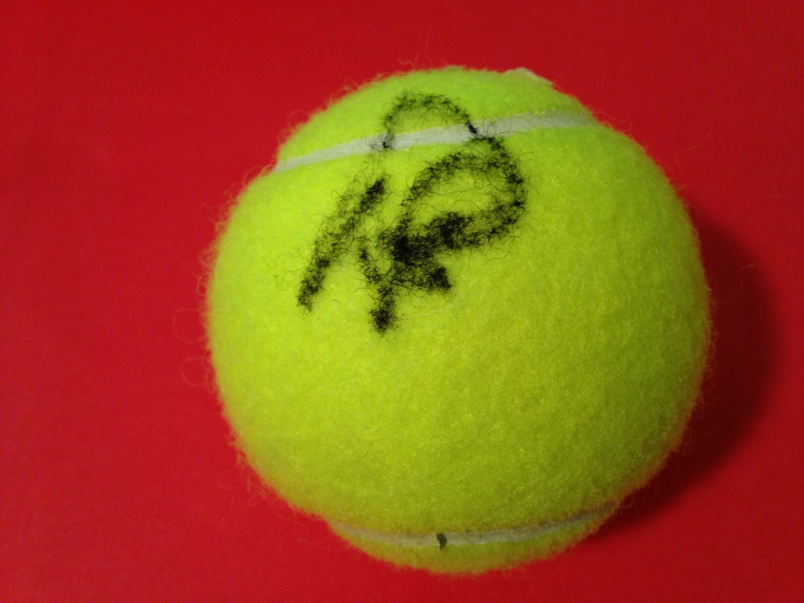 Karolina Pliskova Wilson Tennis Ball Signed Auto