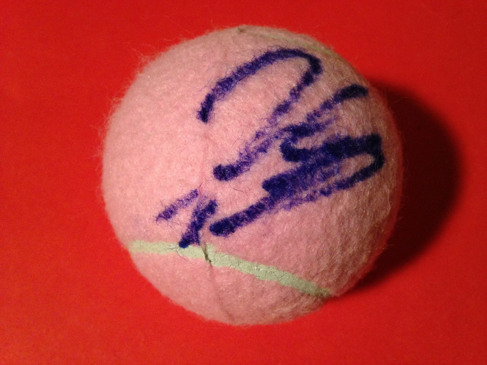 Polona Hercog Pink Wilson Hope Cancer Research Tennis Ball Signed Auto