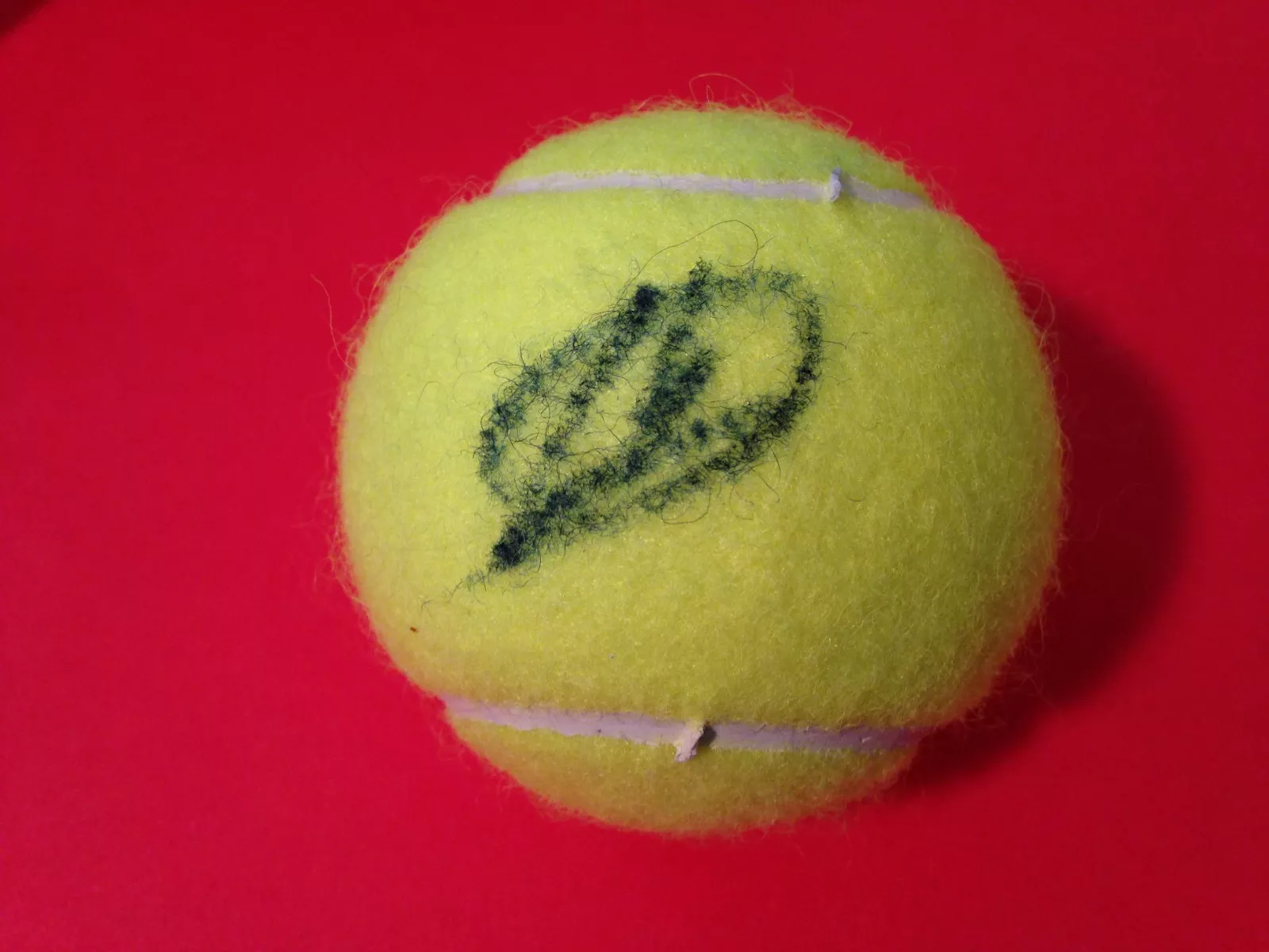 Lara Arruabarrena Penn Tennis Ball Signed Auto