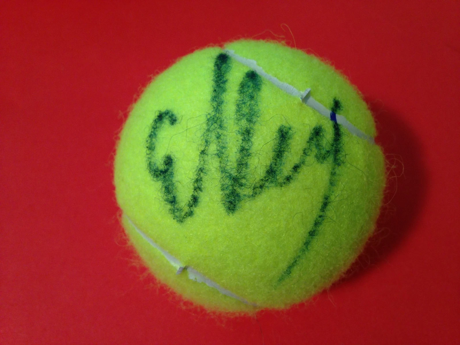 Elena Vesnina Penn Tennis Ball Signed Auto
