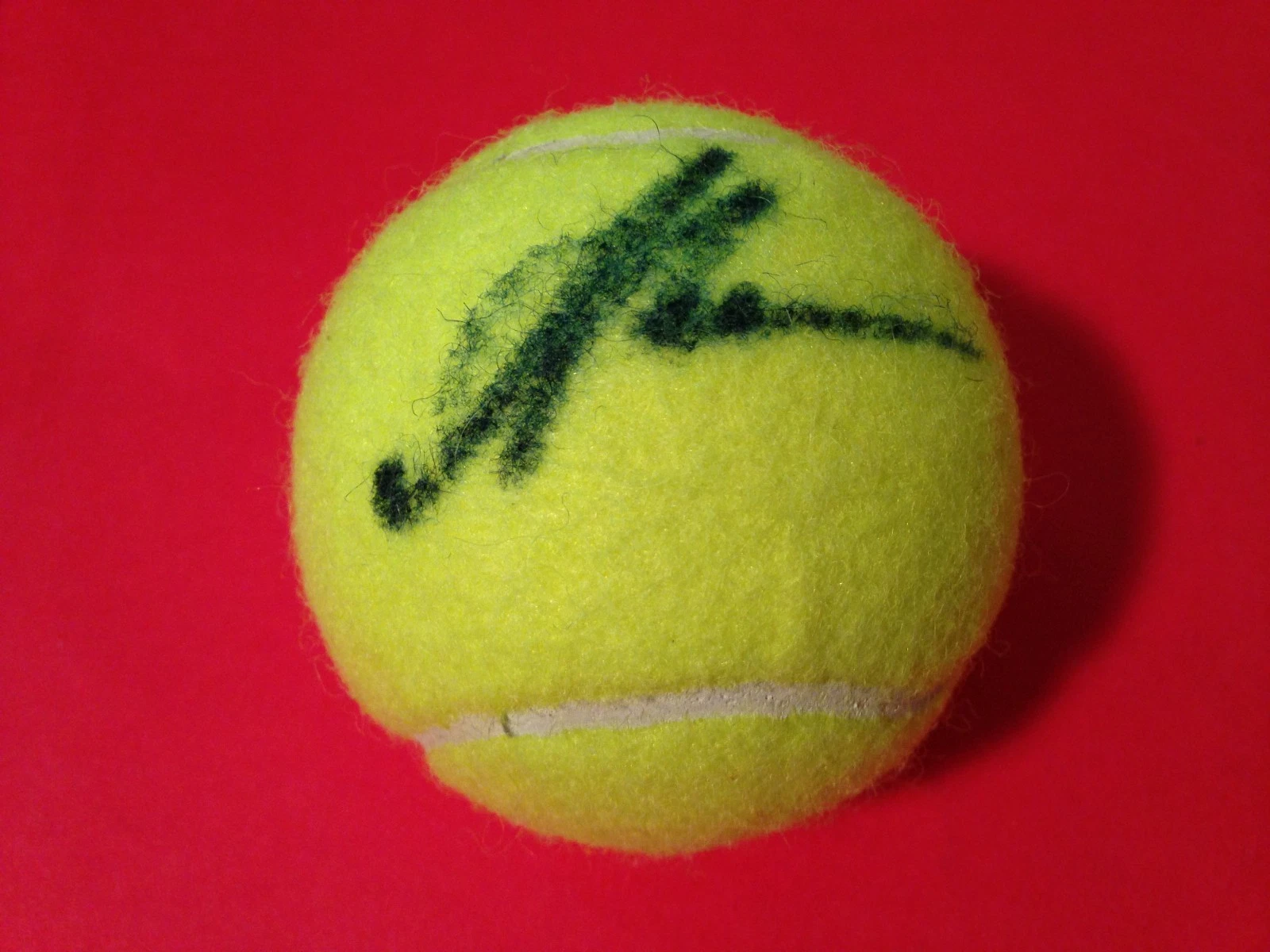 ALLA KUDRYAVTSEVA WILSON TENNIS BALL SIGNED AUTO COLLECTIBLE MEMORABILIA