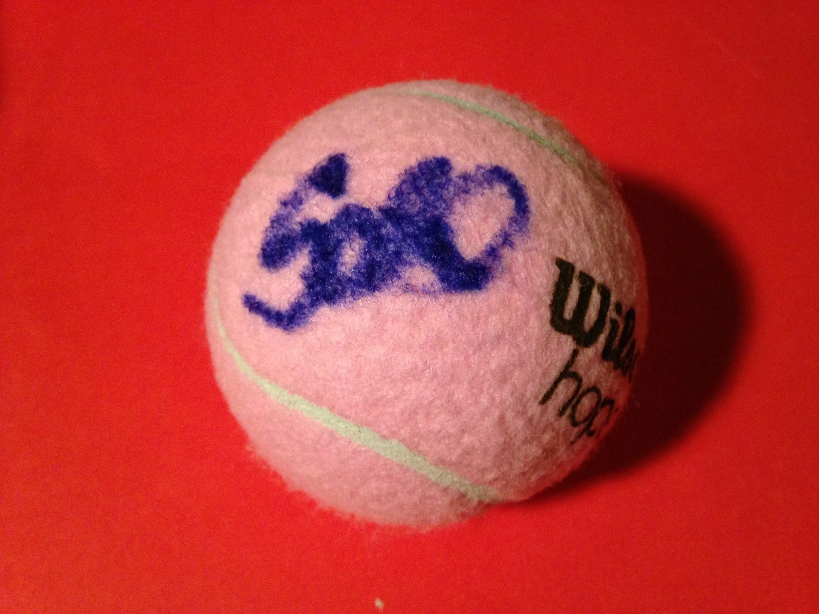 Anna Schmiedlova Pink Wilson Hope Cancer Research Tennis Ball Signed Auto