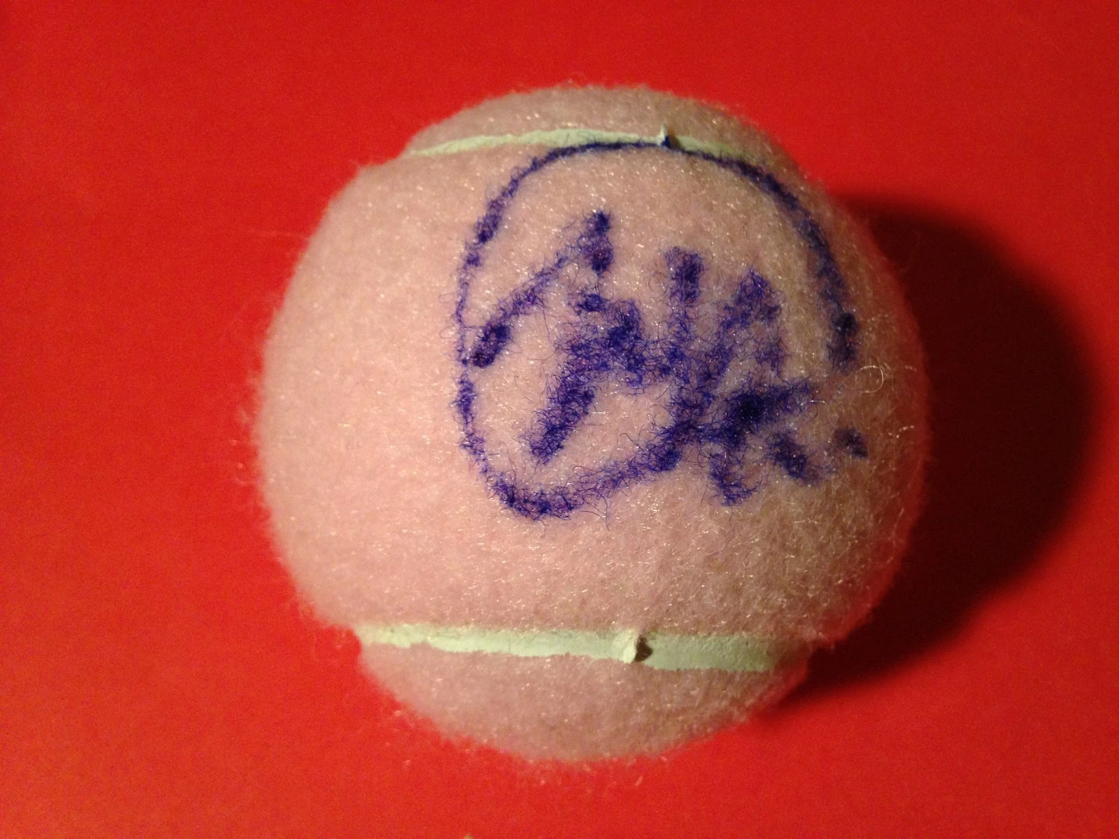 Misaki Doi Pink Wilson Hope Cancer Research Tennis Ball Signed Auto