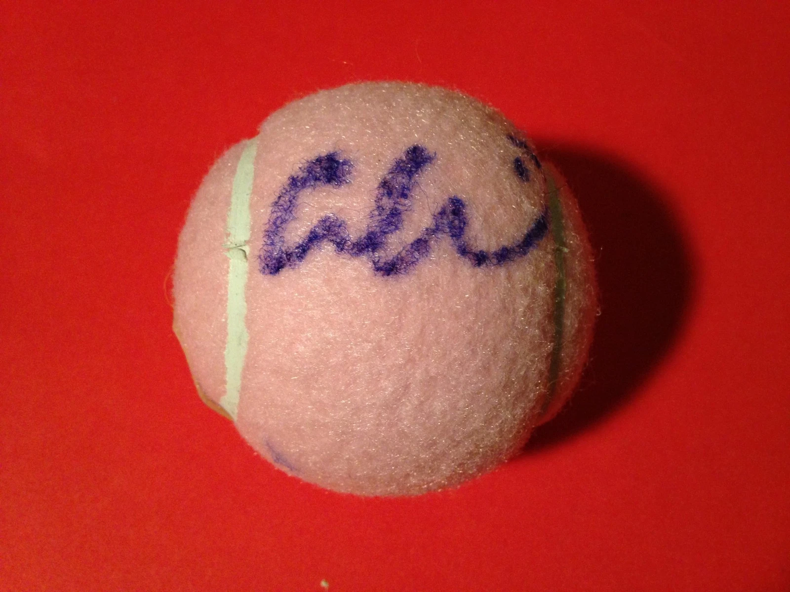 ALISON RISKE PINK WILSON HOPE CANCER RESEARCH TENNIS BALL SIGNED AUTO COLLECTIBLE MEMORABILIA
