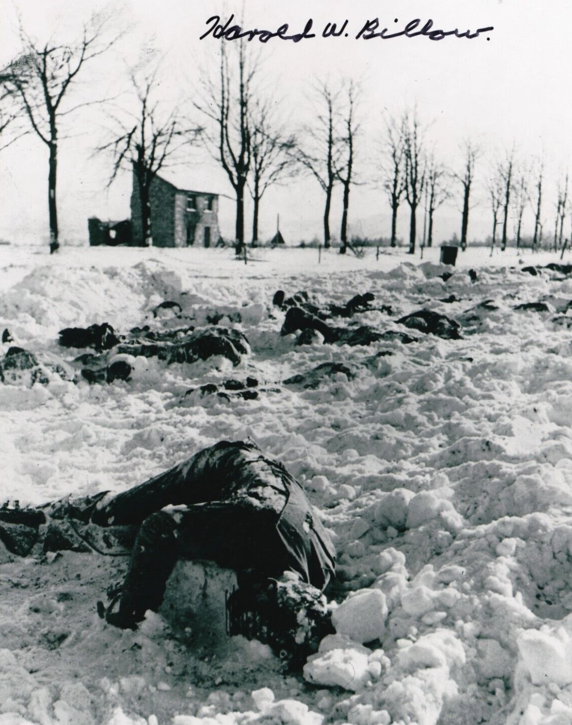 Harold W. Billow REAL hand SIGNED 285th FAOB Malmedy Massacre #1 COA