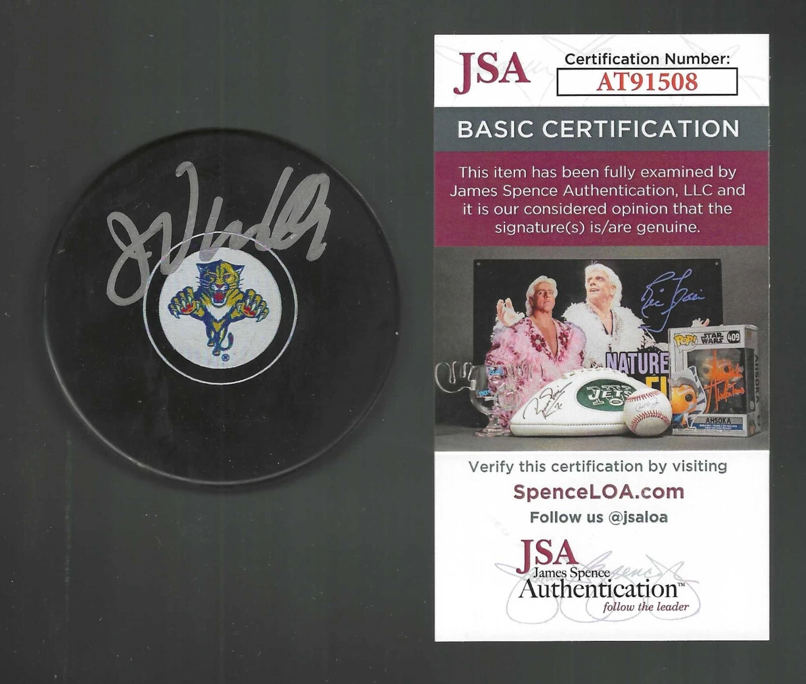 John Vanbiesbrouck Signed Florida Panthers Small Logo Puck JSA COA