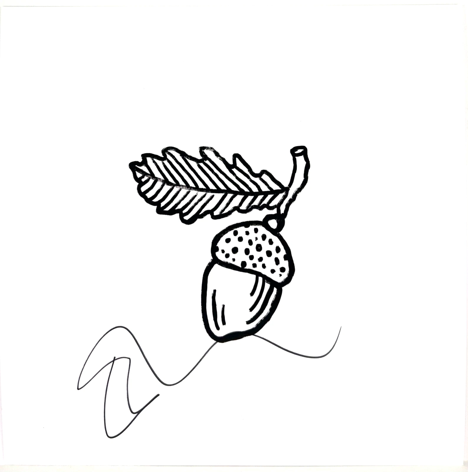 ED SHEERAN Signed Autograph 