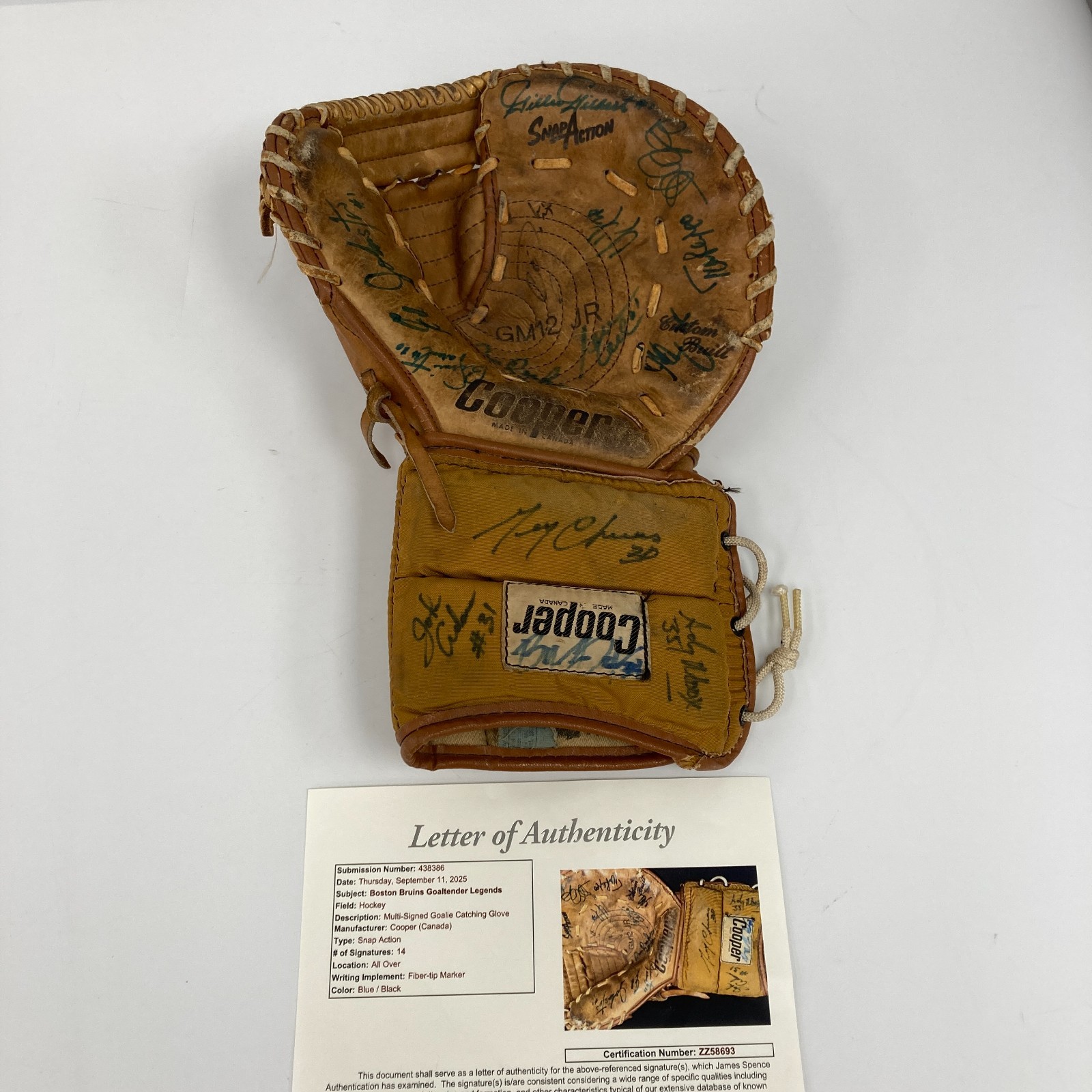 Boston Bruins Goalie Legends Multi Signed NHL Hockey Glove 14 Sigs JSA COA