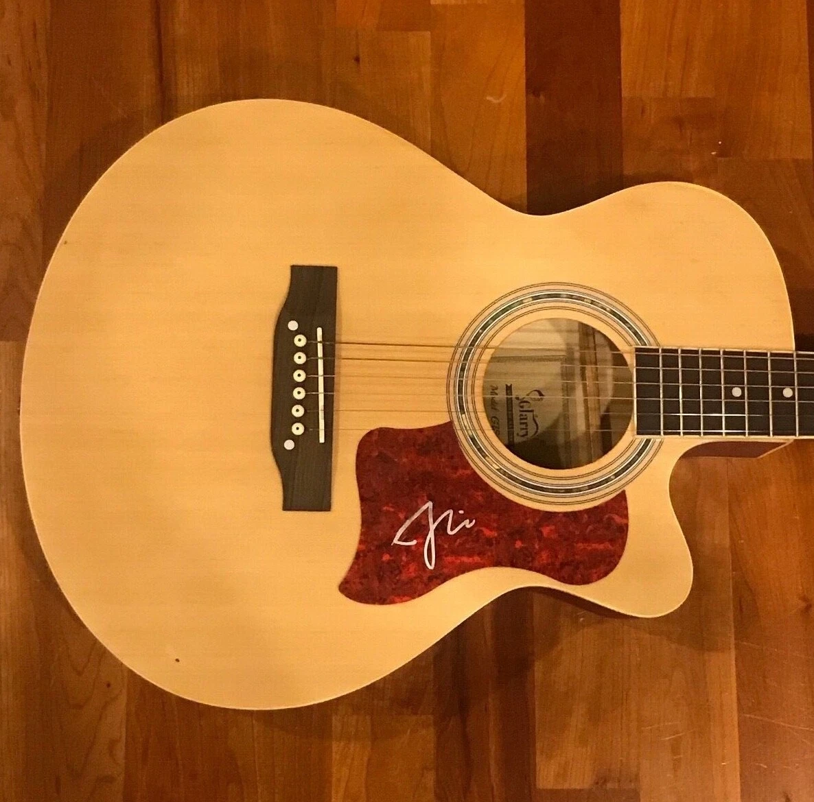 * FATHER JOHN MISTY * signed autographed acoustic guitar * JOSHUA TILLMAN * 1