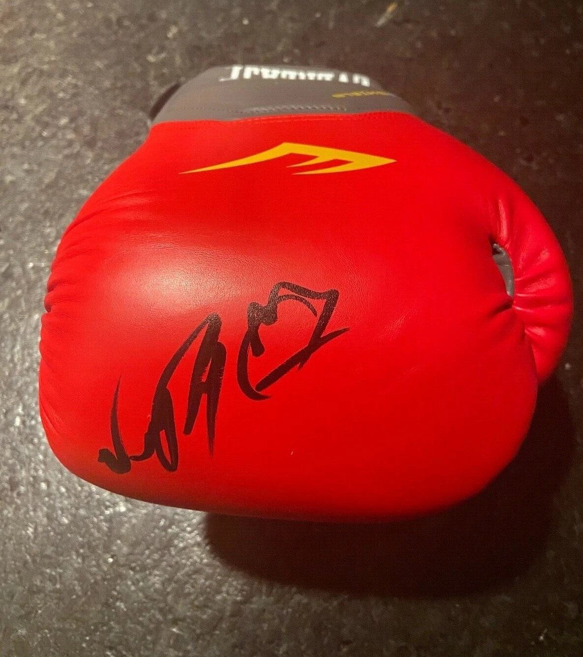 * RYAN GARCIA * SIGNED EVERLAST BOXING GLOVE * KING * BOXER * PROOF * 4 COLLECTIBLE MEMORABILIA