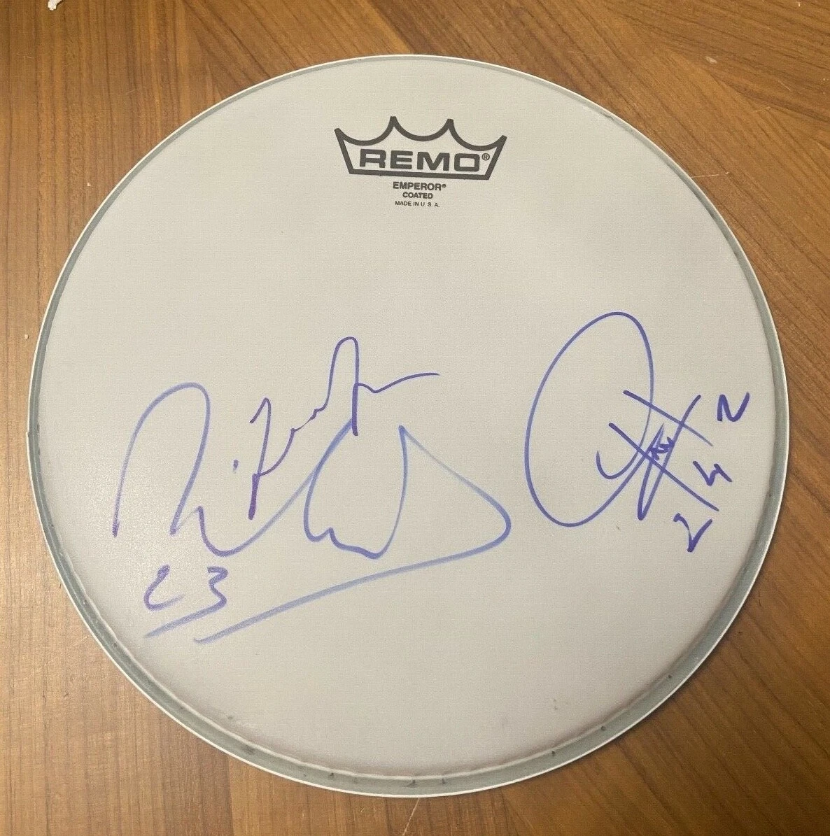 * FRONT 242 * SIGNED 10″ REMO DRUMHEAD * JEAN-LUC, PATRICK & RICHARD * PROOF * 1 COLLECTIBLE MEMORABILIA