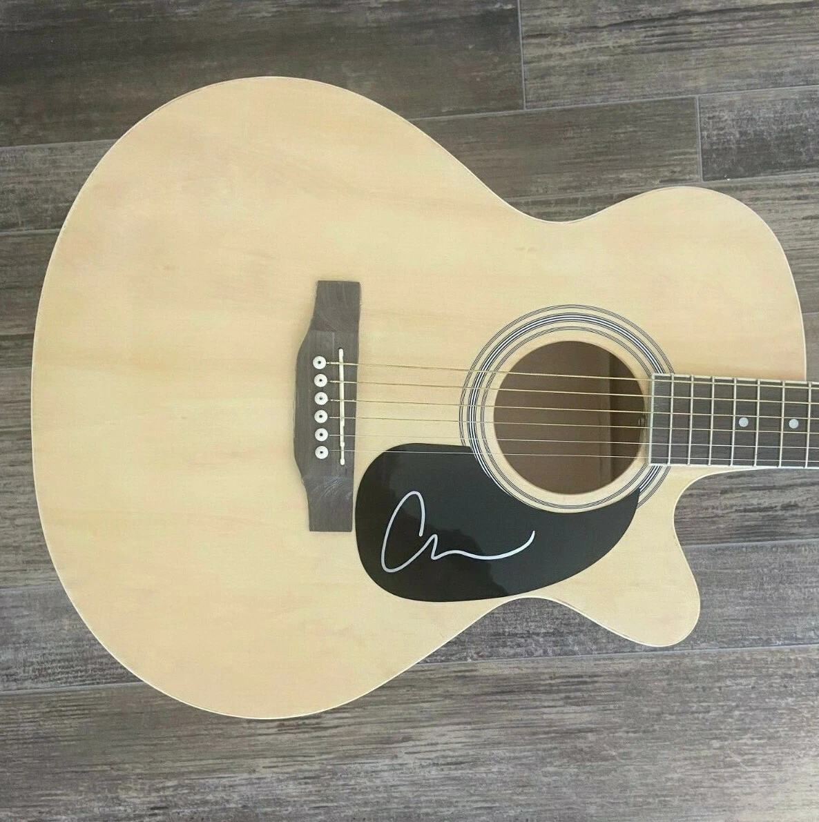 * CAM OCHS * signed acoustic guitar * BURNING HOUSE * COA * 1