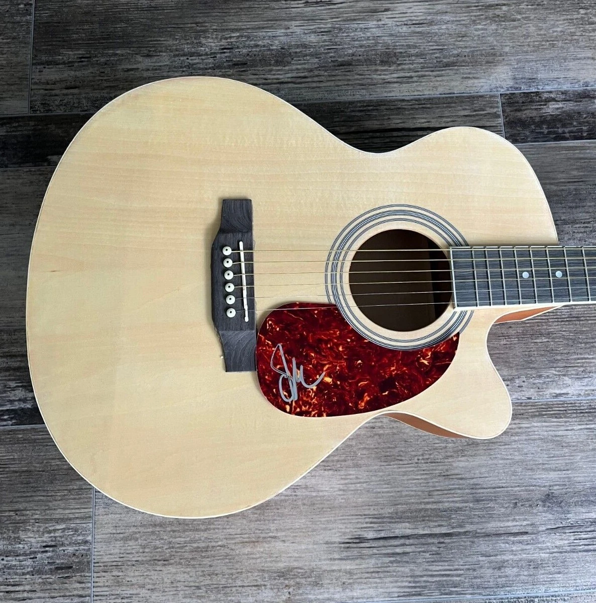 * SAGE KING * signed acoustic guitar * LAY DOWN YOUR GUNS * COA * 2