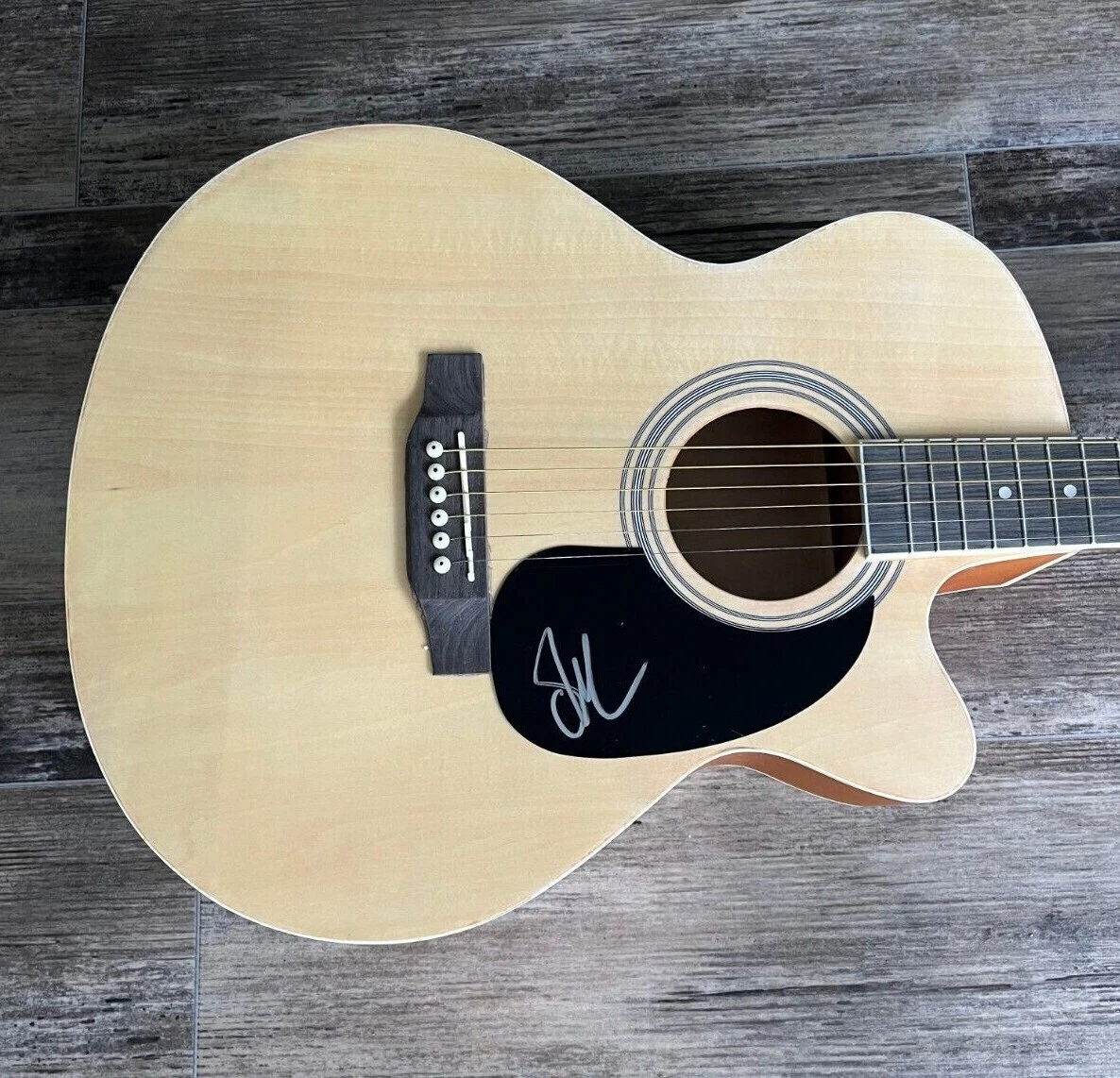 * SAGE KING * signed acoustic guitar * LAY DOWN YOUR GUNS * COA * 3