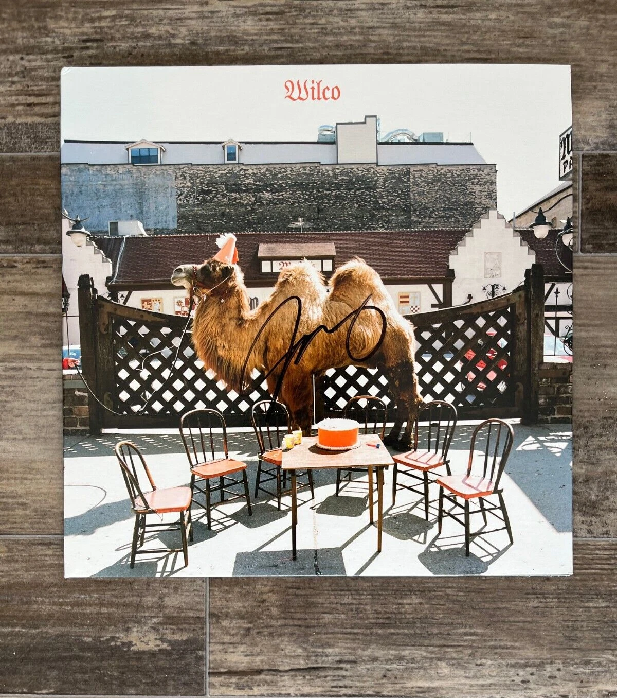 * JEFF TWEEDY * signed vinyl album * WILCO * 1