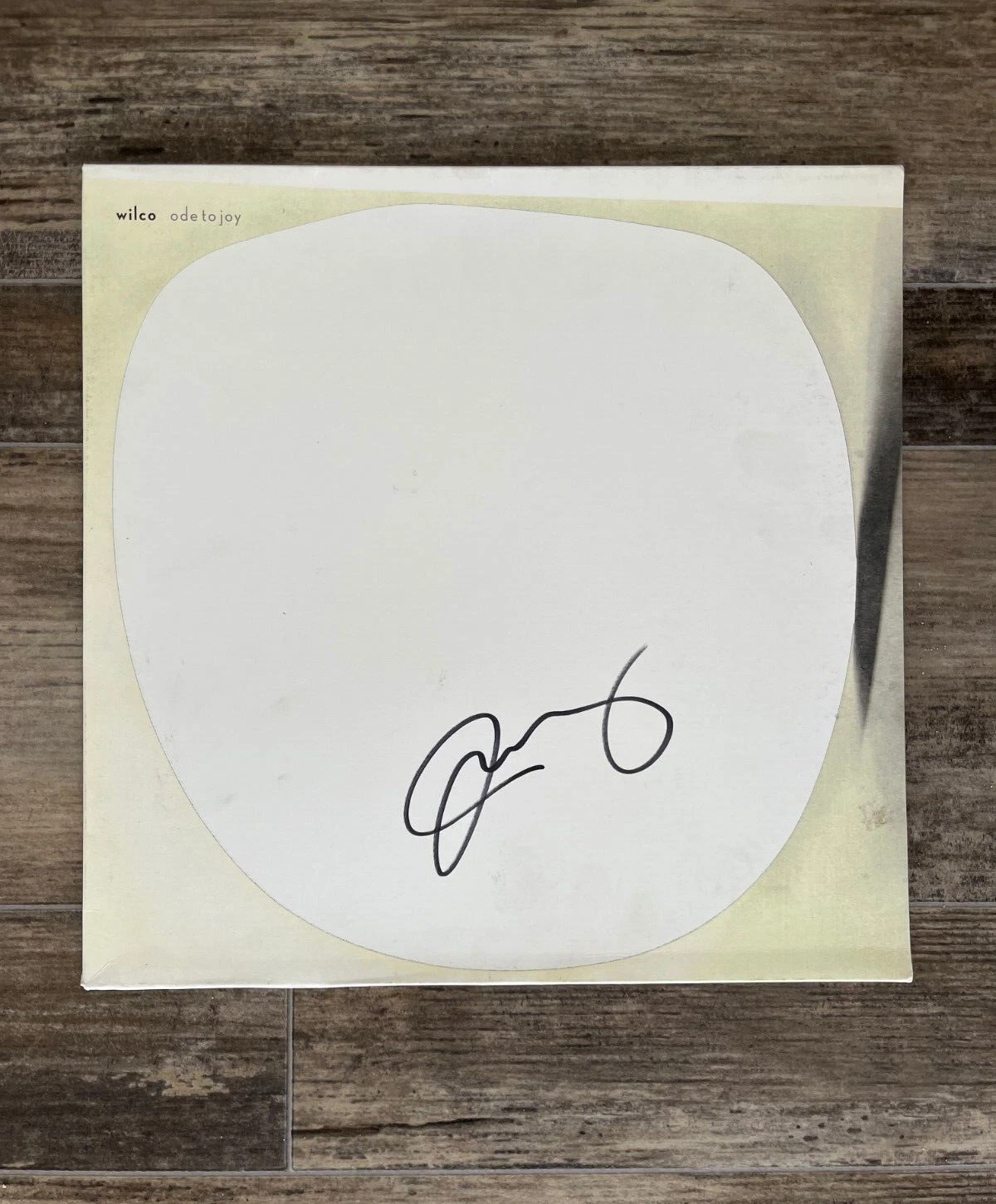 * JEFF TWEEDY * signed vinyl album * WILCO * ODE TO JOY * 1