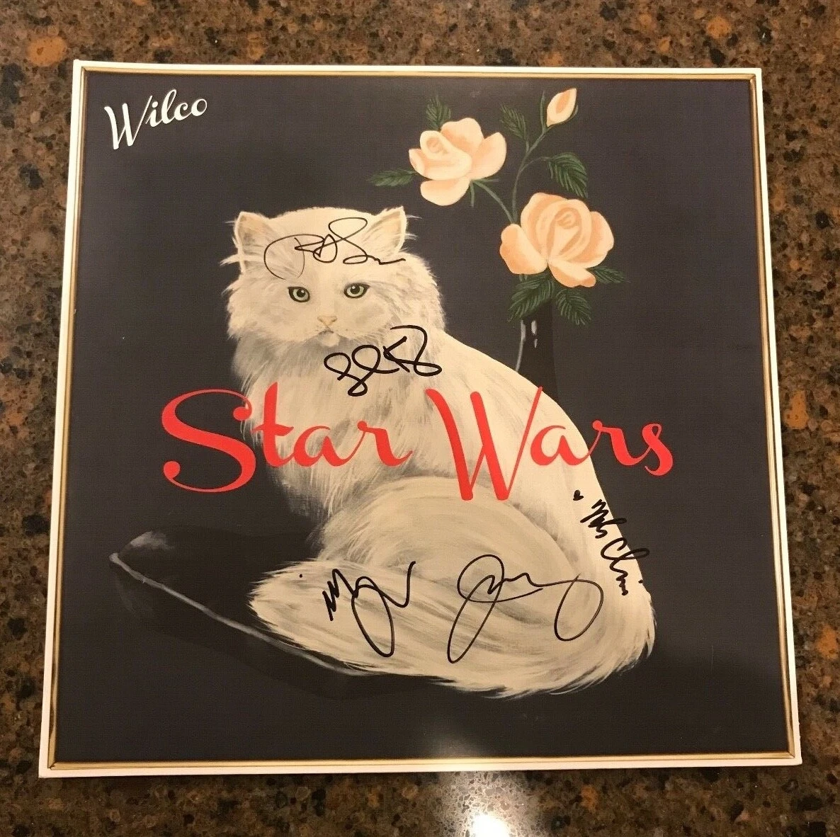 * WILCO * signed vinyl album * STAR WARS * JEFF TWEEDY +4 MORE * 1