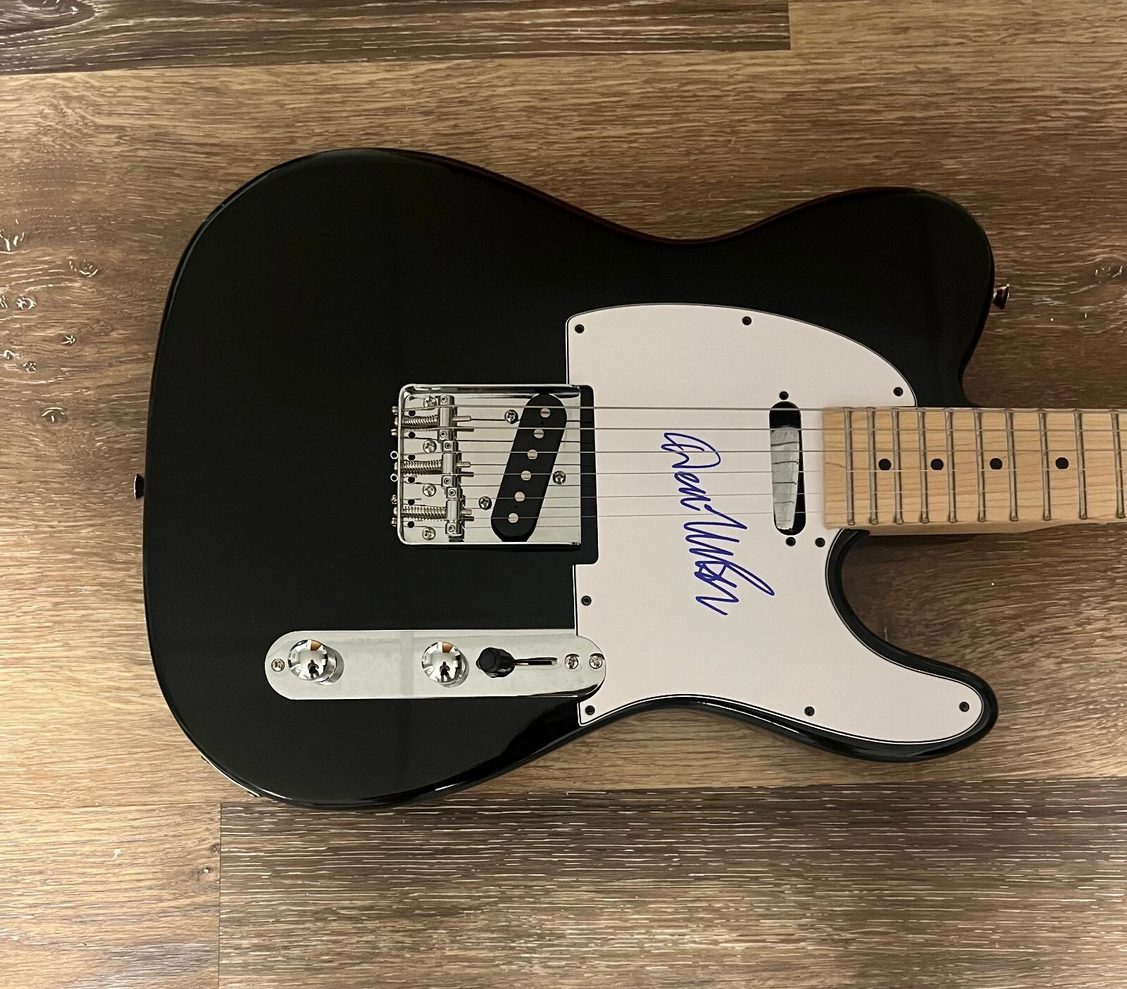 * DON MCLEAN * signed electric guitar * AMERICAN PIE * 1