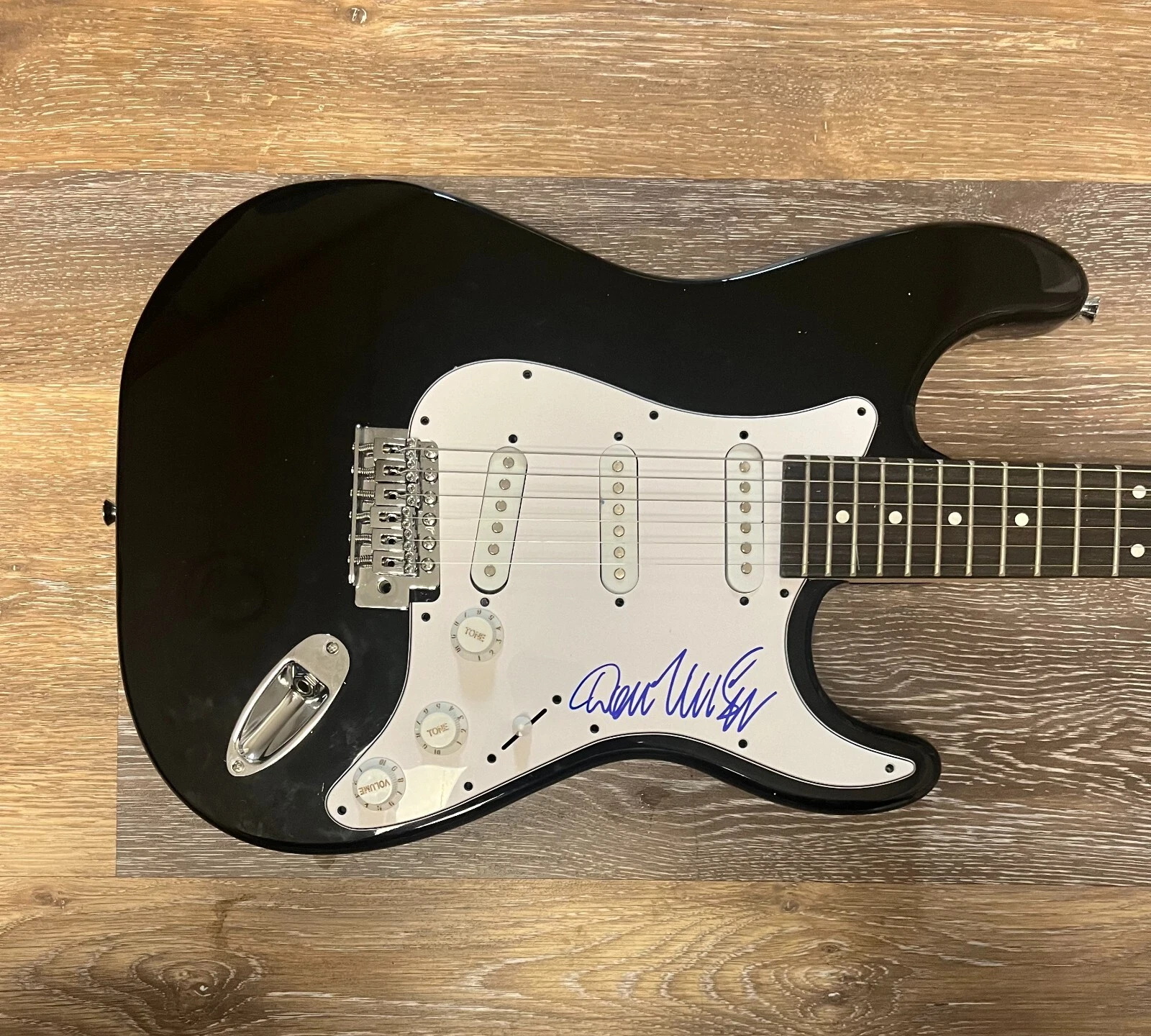 * DON MCLEAN * signed electric guitar * AMERICAN PIE * 4