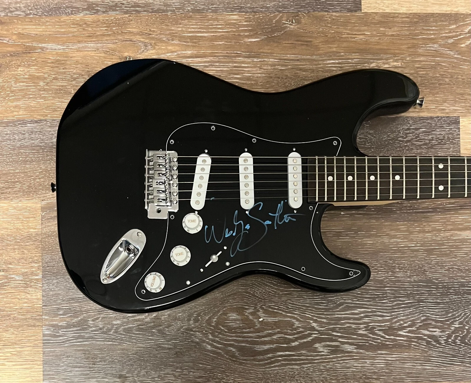 * WES SCANTLIN * signed electric guitar * PUDDLE OF MUD * 1