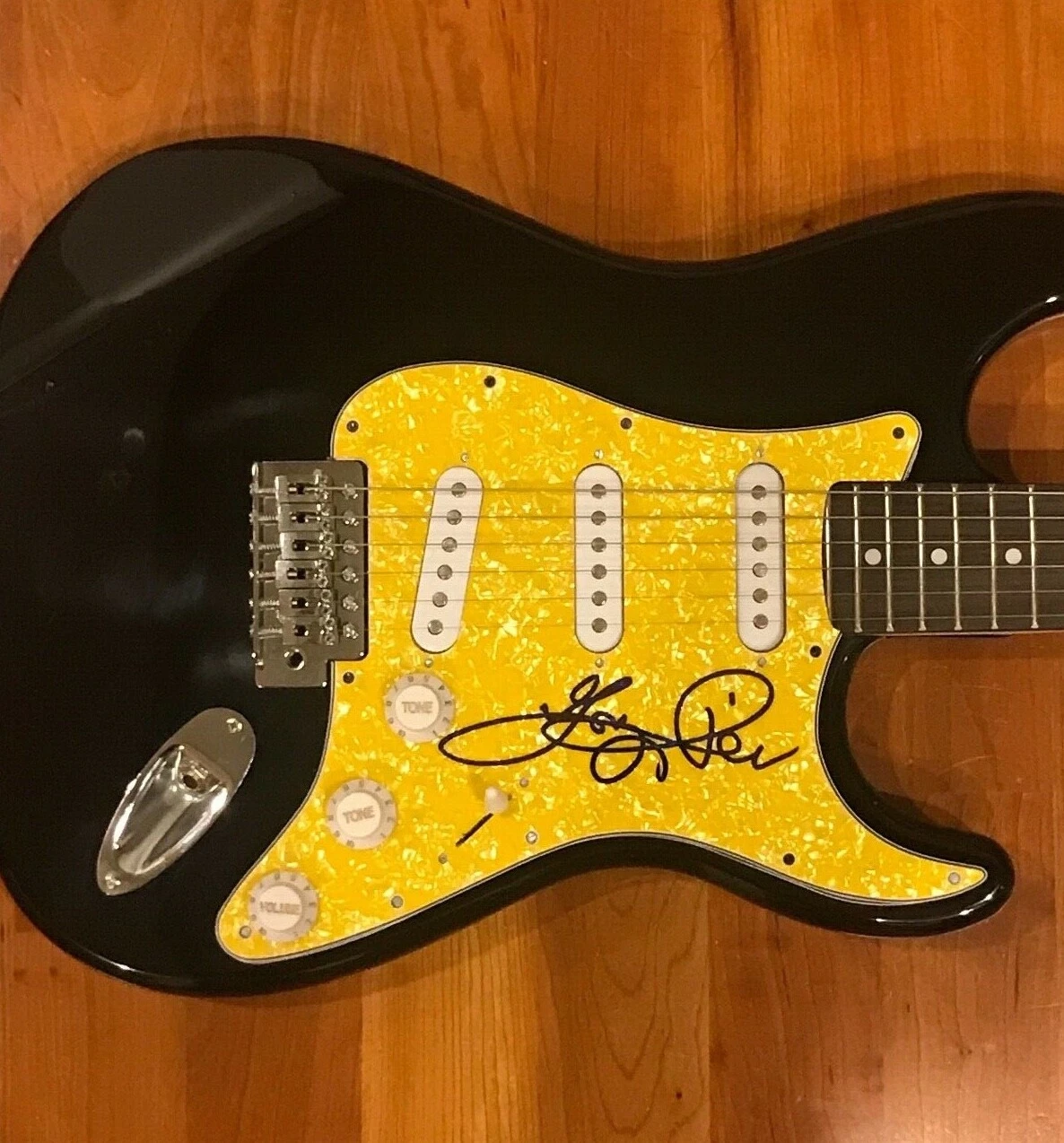 * TERRY REID * signed electric guitar * ROGUE WAVES * LED ZEPPELIN * PROOF * 2