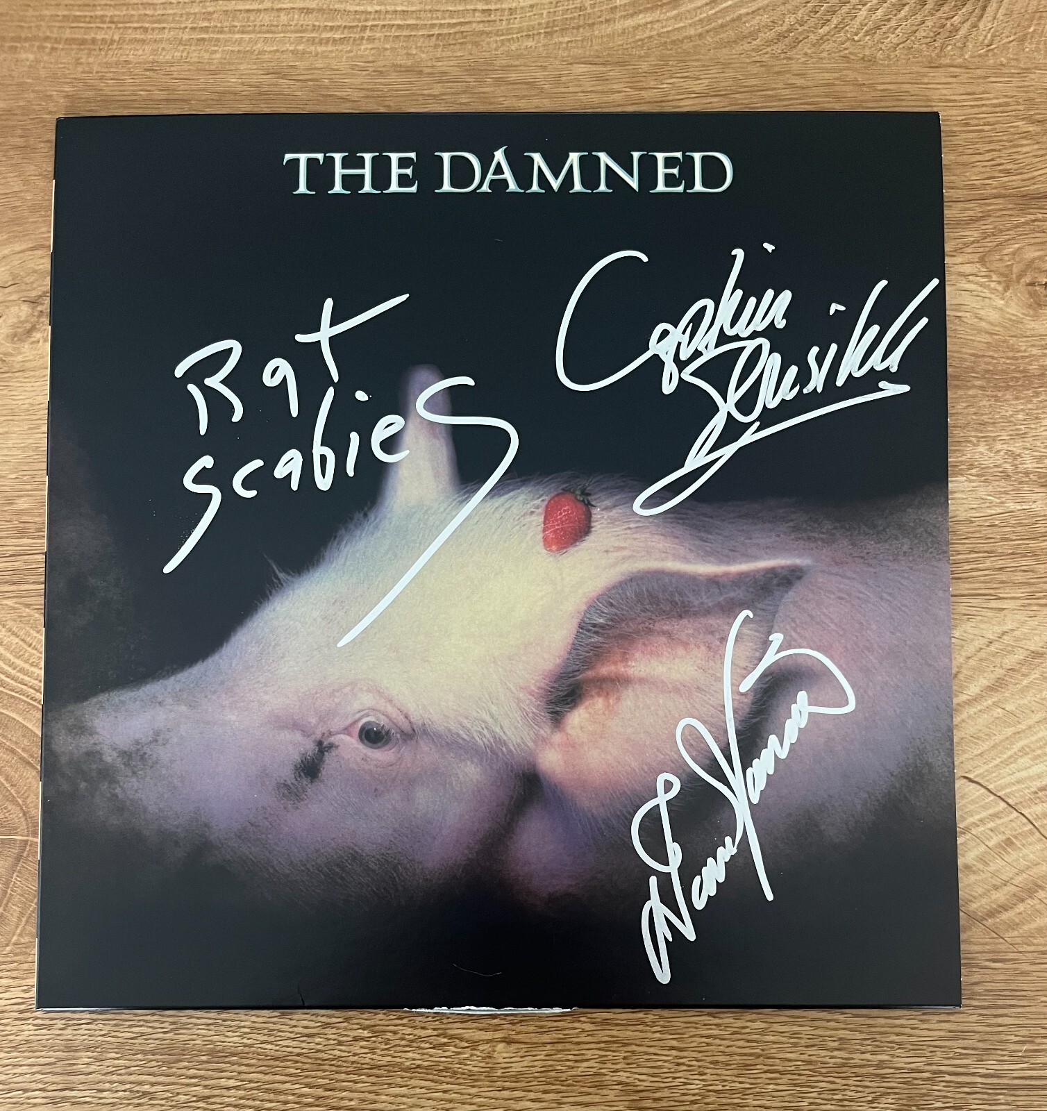 * THE DAMNED * signed vinyl album * STRAWBERRIES * DAVE, RAT & CAPTAIN * 2