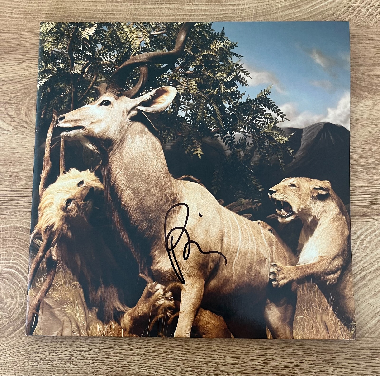 * PAUL BANKS * signed album * INTERPOL * OUR LOVE TO ADMIRE * 1