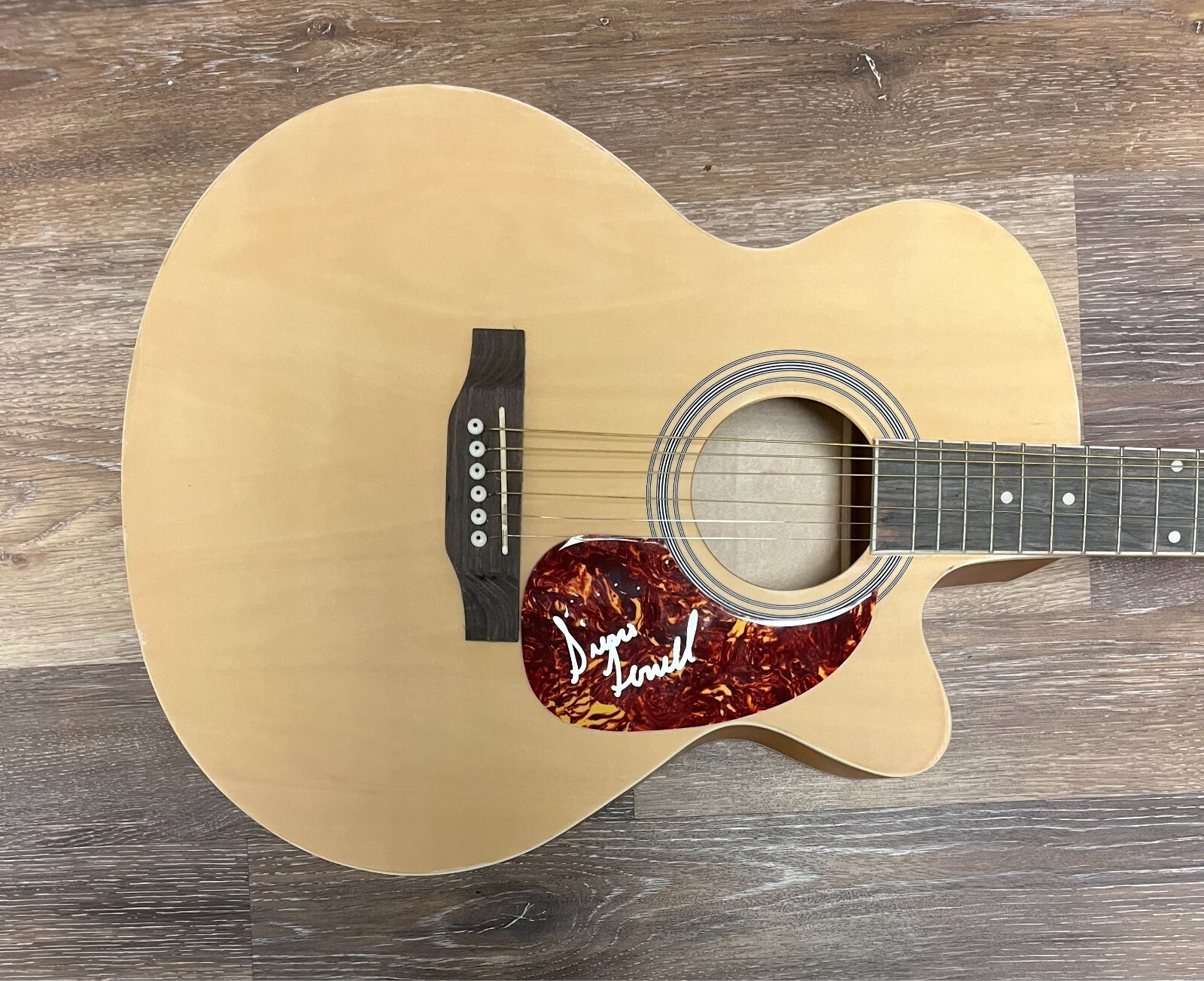 * SIERRA FERRELL * signed acoustic guitar * TRAIL OF FLOWERS * 1