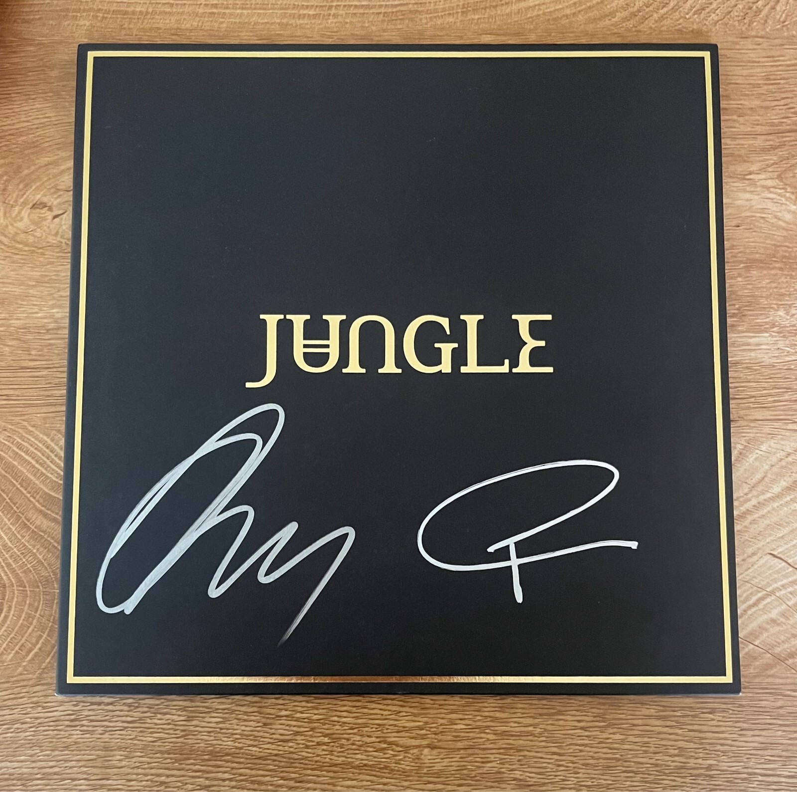 * JUNGLE * signed vinyl album * DEBUT ALBUM * JOSH LLOYD-WATSON & TOM MCFARLAND