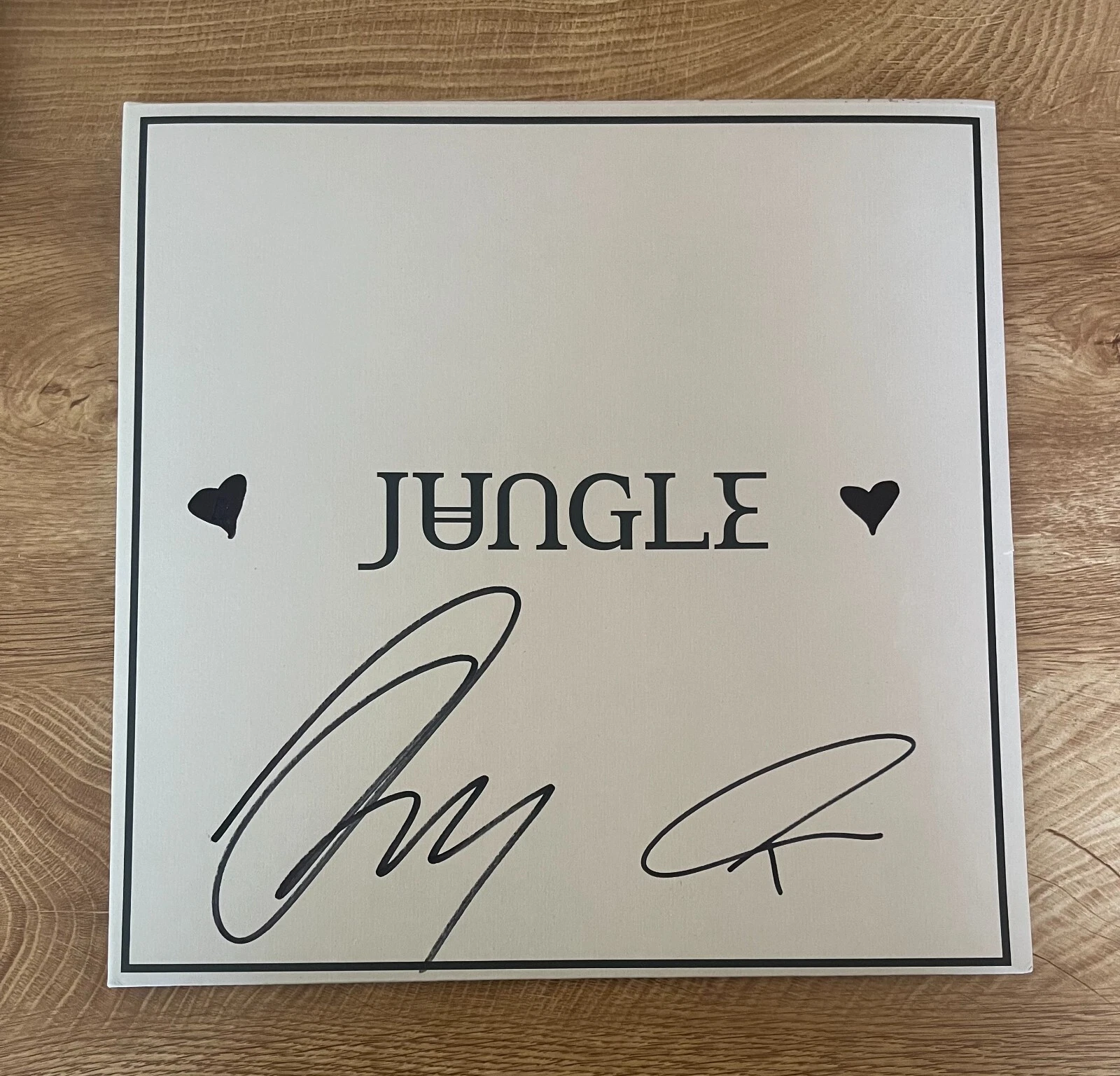 * JUNGLE * signed album * LOVING IN STEREO  * JOSH LLOYD-WATSON & TOM MCFARLAND