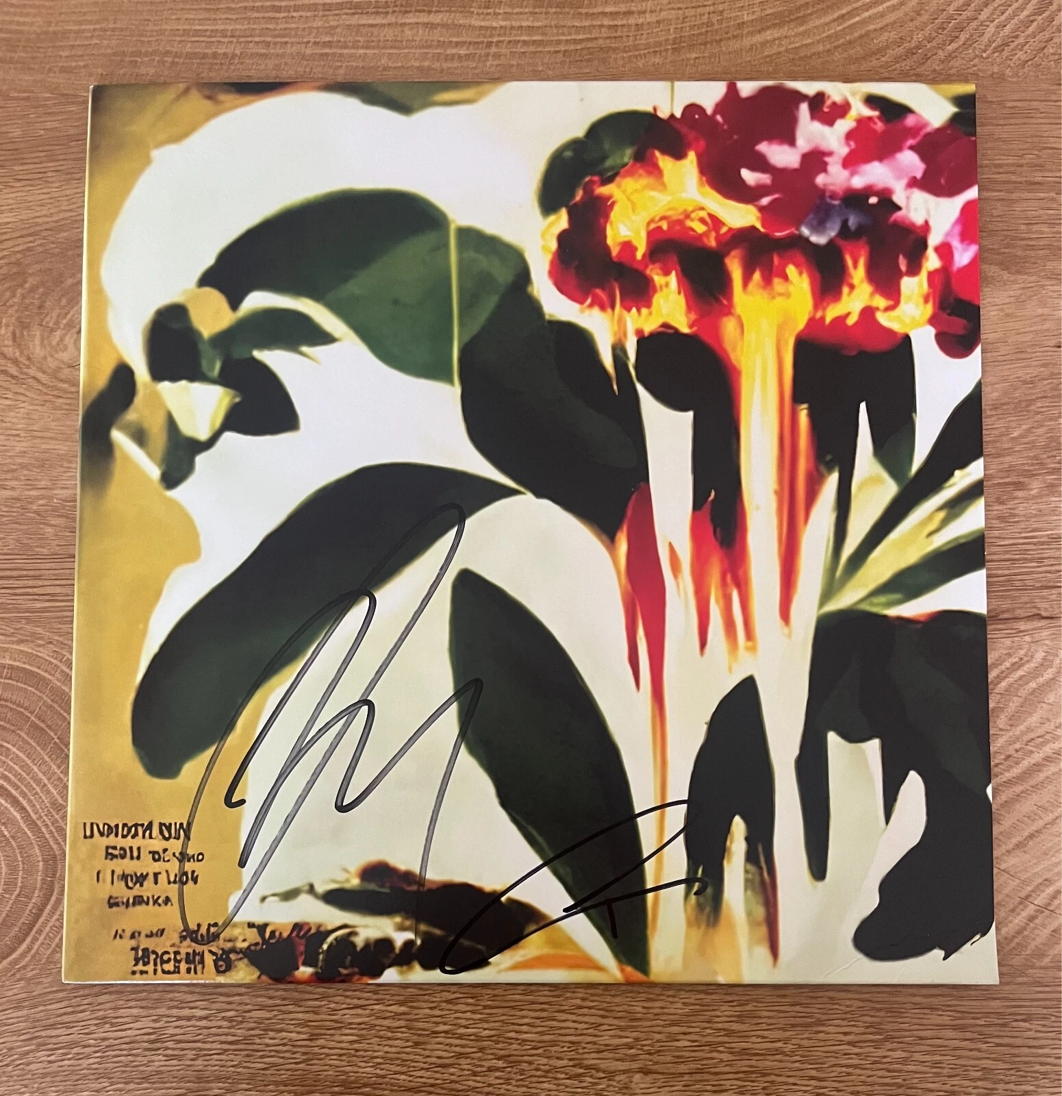 * JUNGLE * signed vinyl album * GOOD TIMEZ PROBLEMZ  * JOSH & TOM * 1