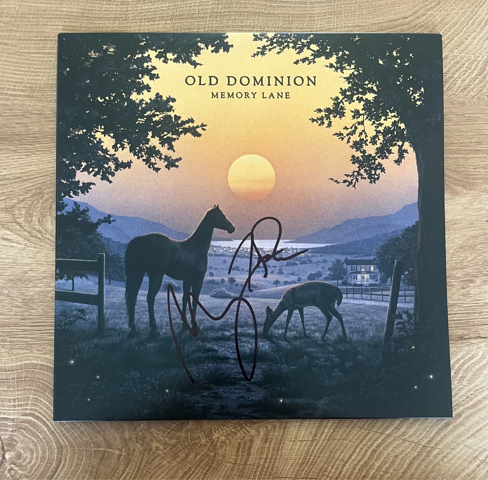 * OLD DOMINION * signed vinyl album * MEMORY LANE * MATT RAMSEY & TREVOR ROSEN *