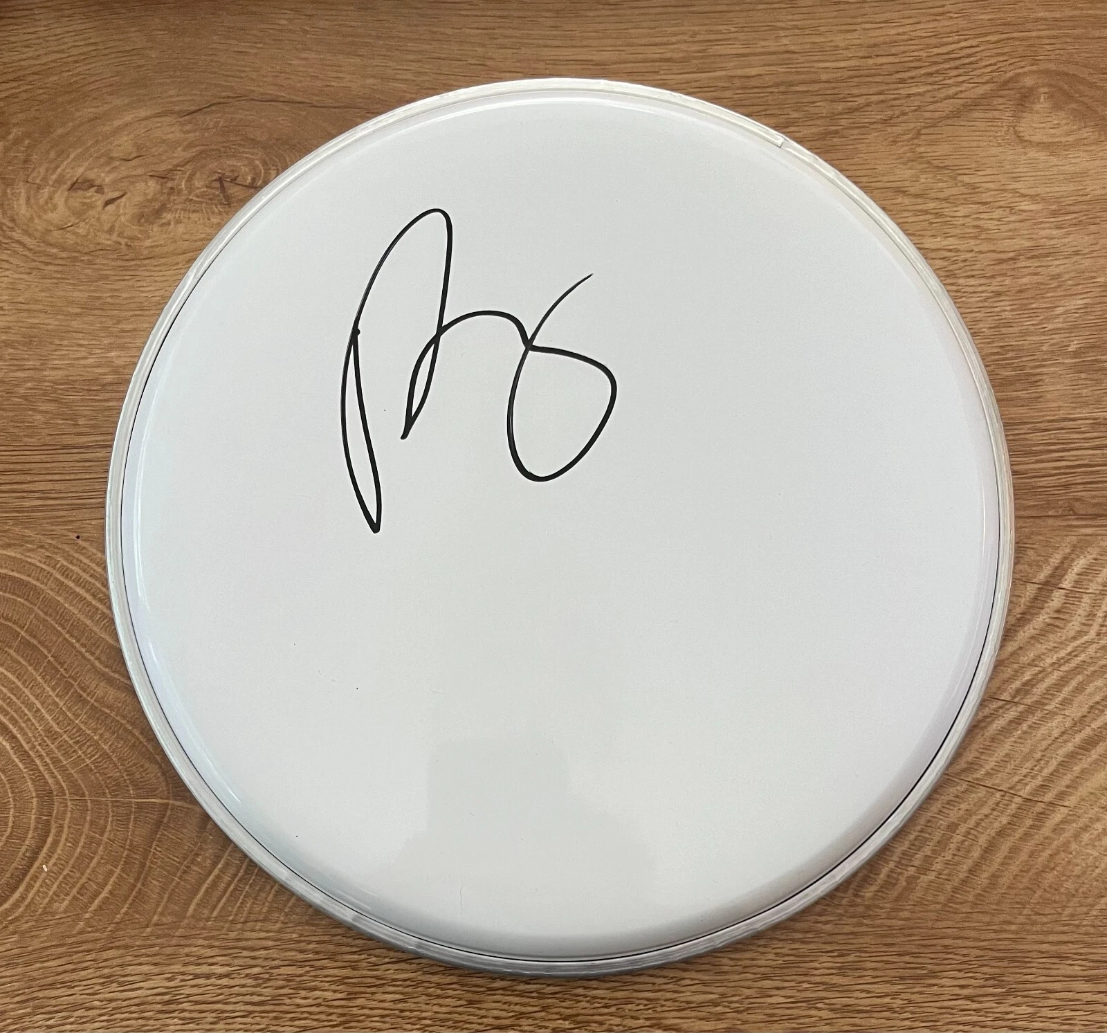* PATRICK CARNEY * SIGNED 10″ DRUMHEAD * THE BLACK KEYS * 1 COLLECTIBLE MEMORABILIA