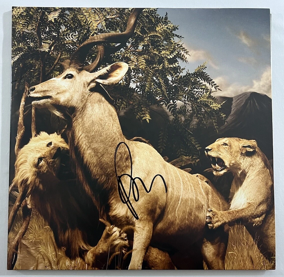PAUL BANKS SIGNED OUR LOVE TO ADMIRE INTERPOL VINYL ALBUM AUTOGRAPH COA