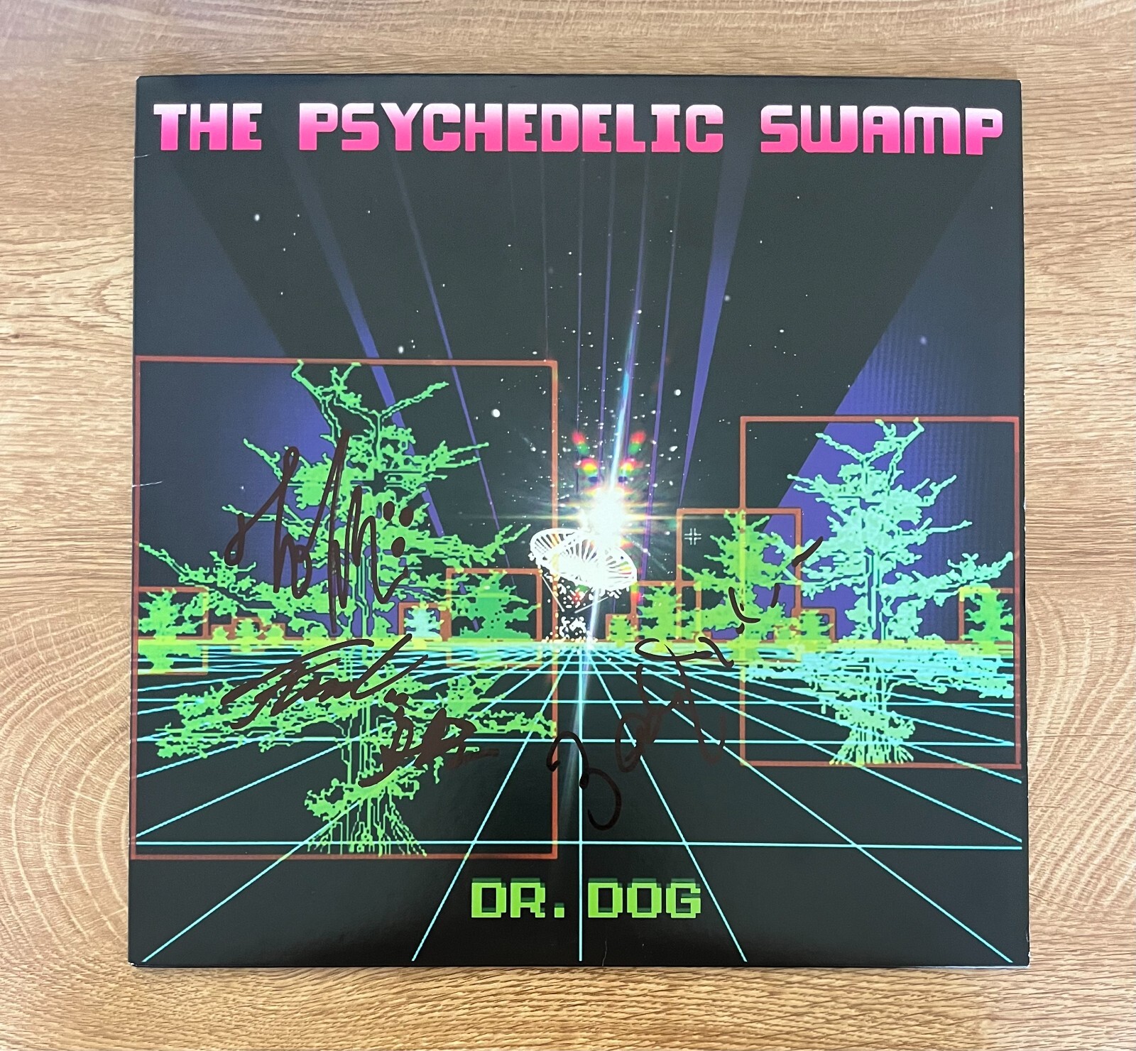 * DR. DOG * signed album * THE PSYCHEDELIC SWAMP * TOBY LEAMAN *