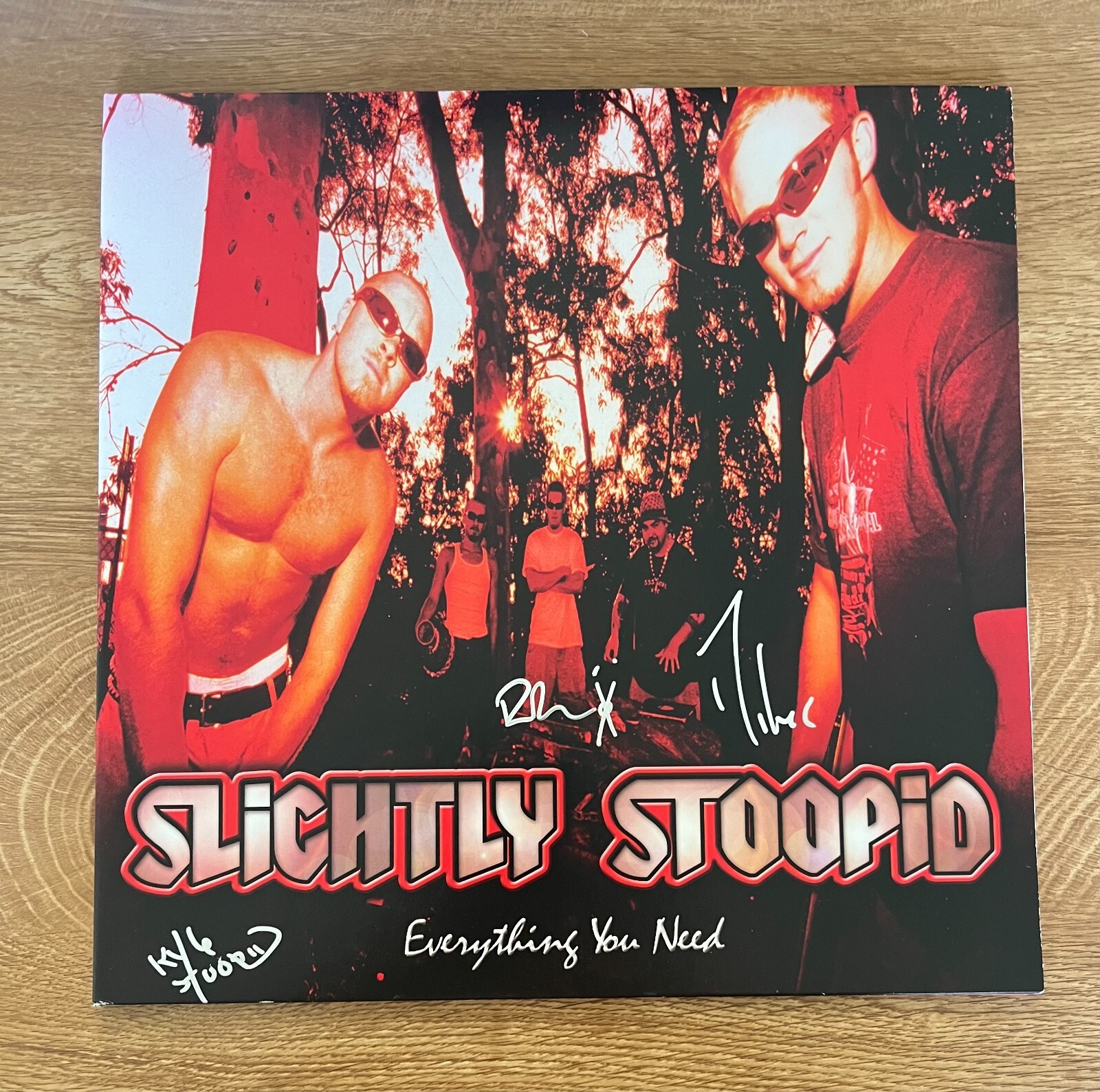 *  SLIGHTLY STOOPID * signed vinyl album * EVERYTHING YOU NEED * 2