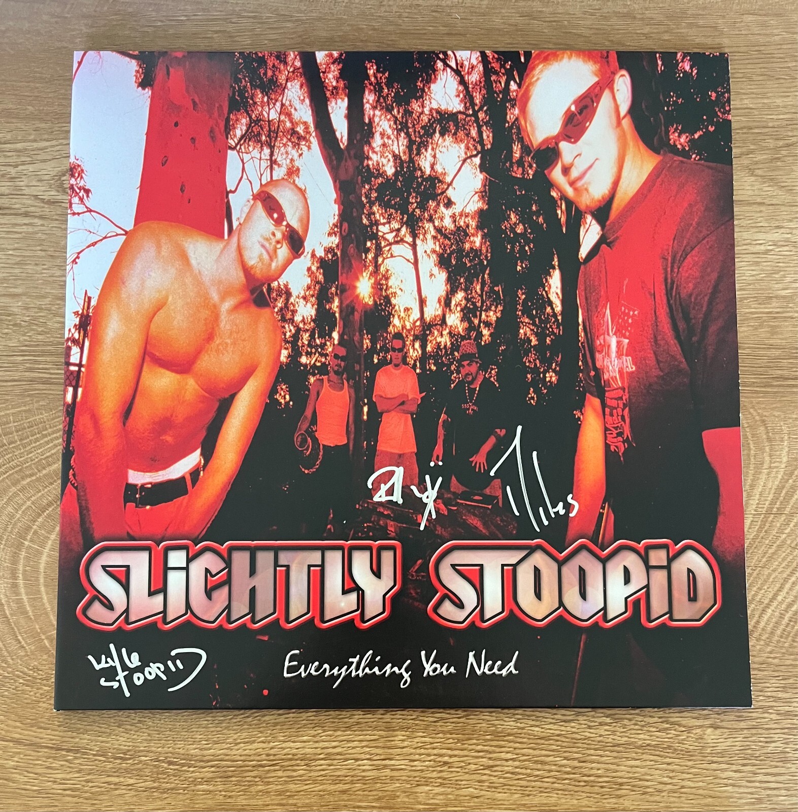 *  SLIGHTLY STOOPID * signed vinyl album * EVERYTHING YOU NEED * 3