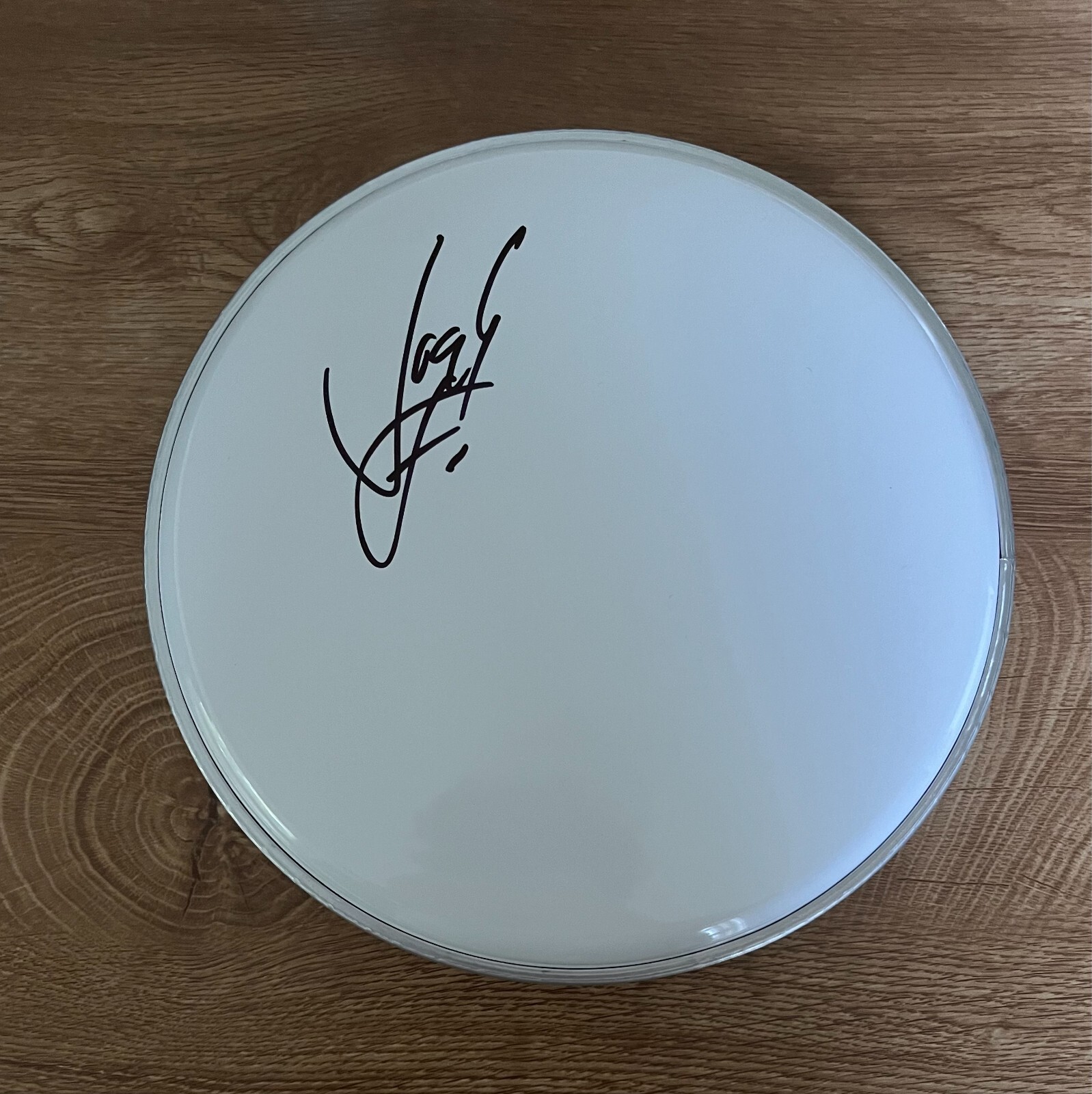 * JOSH FREESE * SIGNED 10″ DRUMHEAD * DEVO * THE VANDALS * FOO FIGHTERS * COLLECTIBLE MEMORABILIA