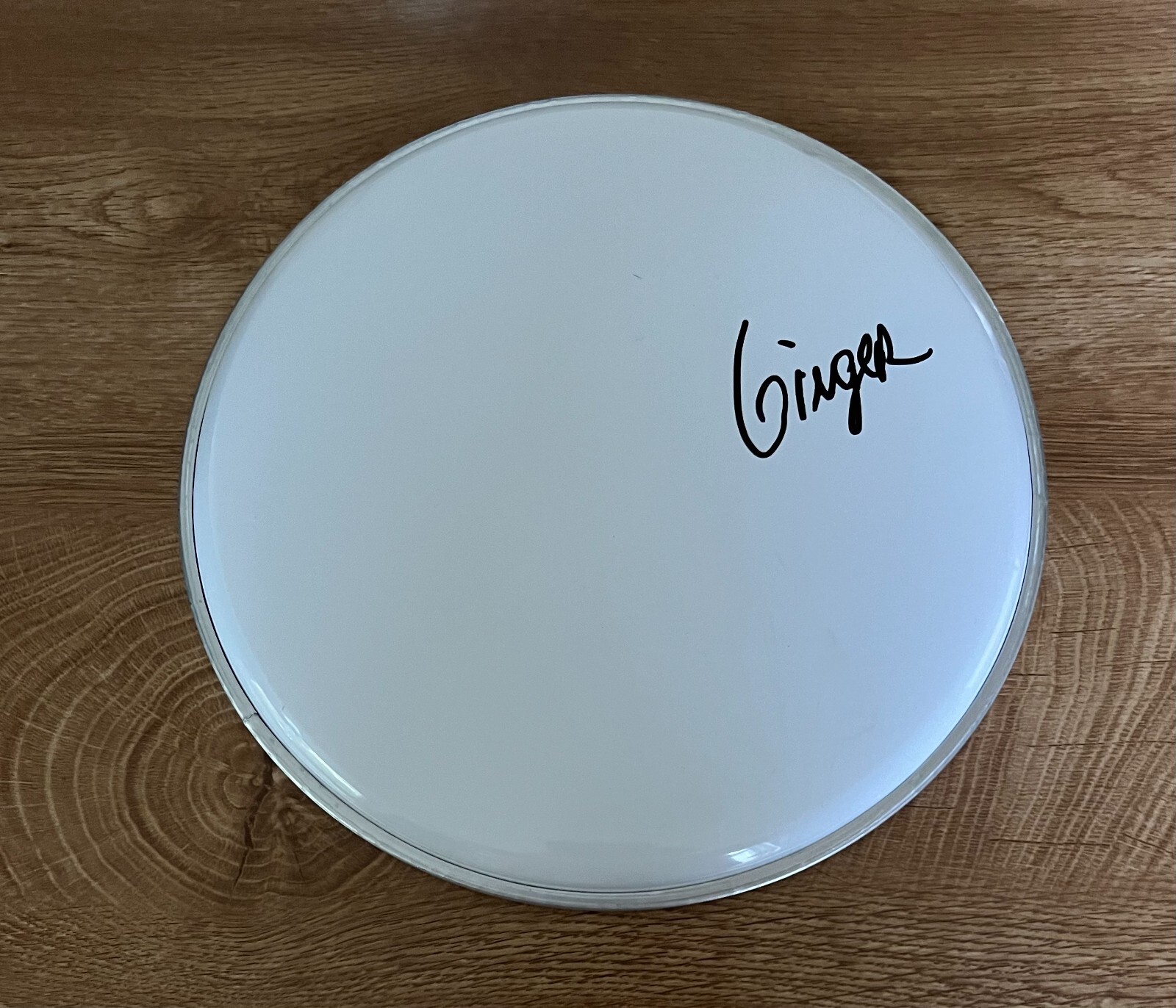 * GINGER FISH * SIGNED 10″ DRUMHEAD * ROB ZOMBIE * MANSON * COLLECTIBLE MEMORABILIA