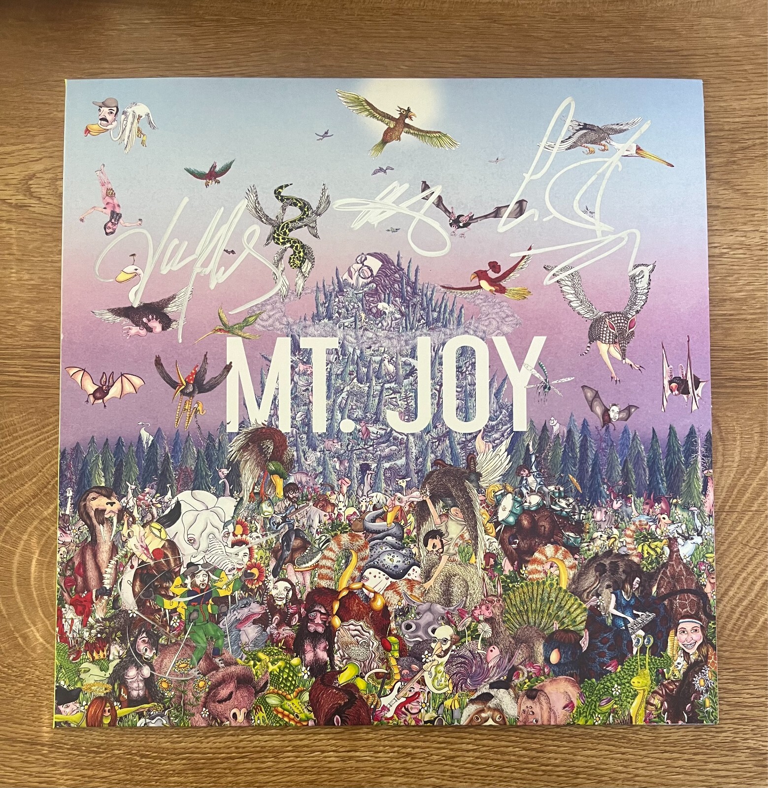 * MT. JOY * signed vinyl album * REARRANGE US * 1